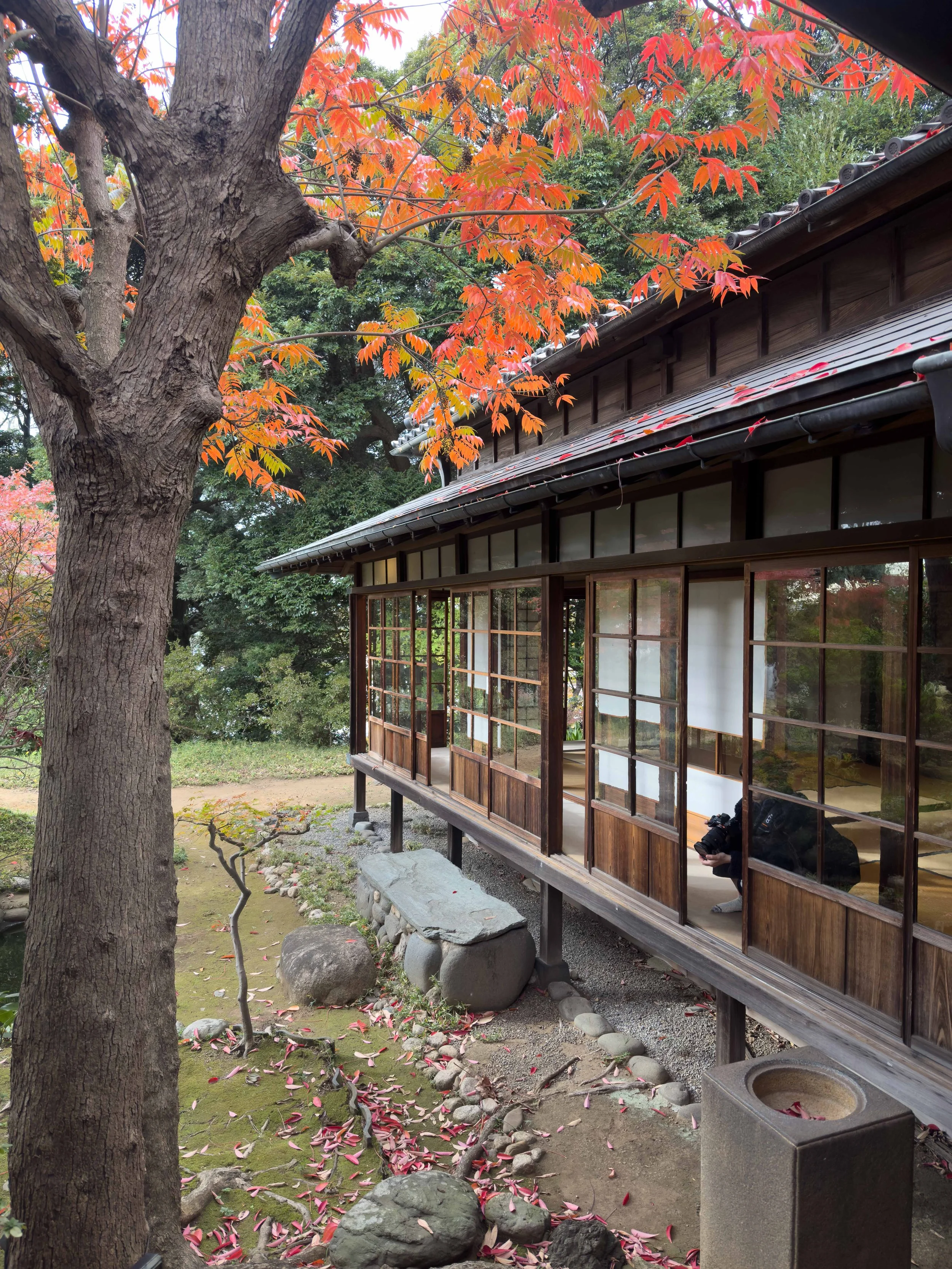 Casa tradicional de madera con ventanas de vidrio y puertas corredizas, rodeada de árboles con hojas rojas y hojas caídas en el suelo de un jardín japonés, con rocas y paja en el entorno.