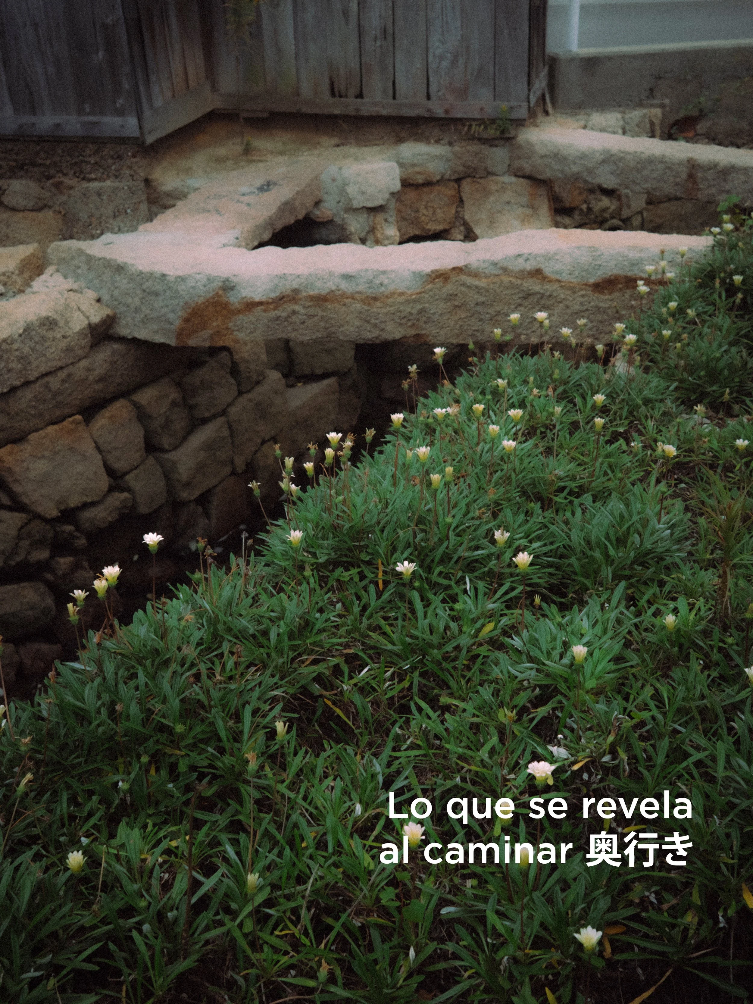 Un camino de piedra rodeado de plantas con pequeñas flores blancas, con un letrero que dice "Lo que se revela al caminar" en español y japonés.