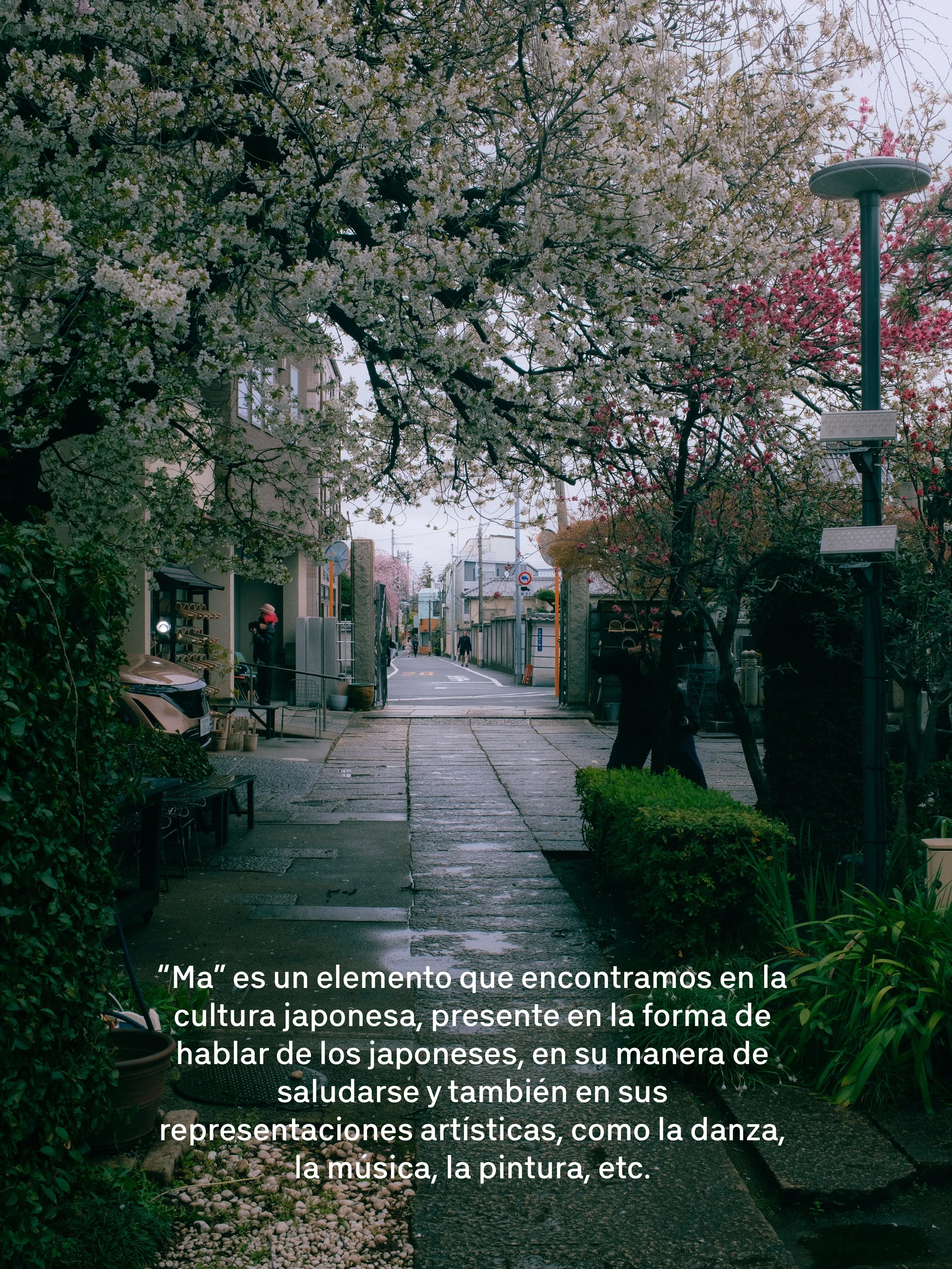 Una calle peatonal en un barrio residencial con árboles en flor, mobiliario urbano, una persona con sombrero tomando fotos y otra caminando en el fondo, en un día nublado.