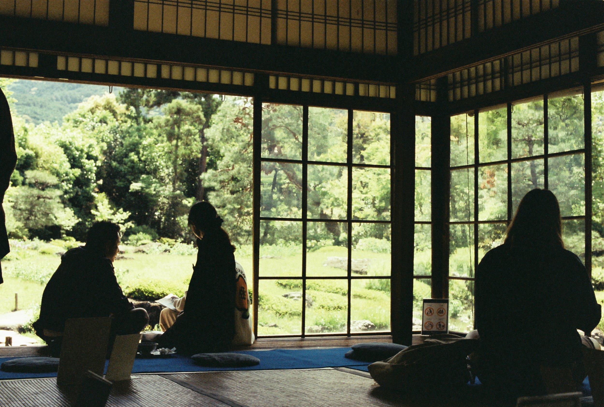 Cuatro personas sentadas en un espacio interior con paredes de madera y grandes ventanas que muestran un paisaje de árboles y naturaleza.