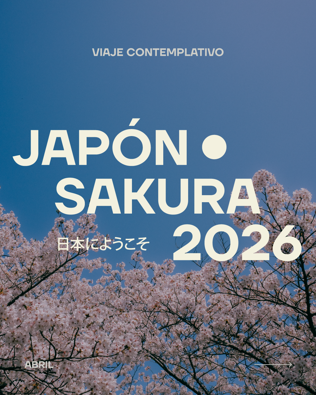Cartel con fondo de árboles en flor de sakura, cielo azul, texto en español y japonés sobre un viaje contemplativo a Japón en 2026, en abril.