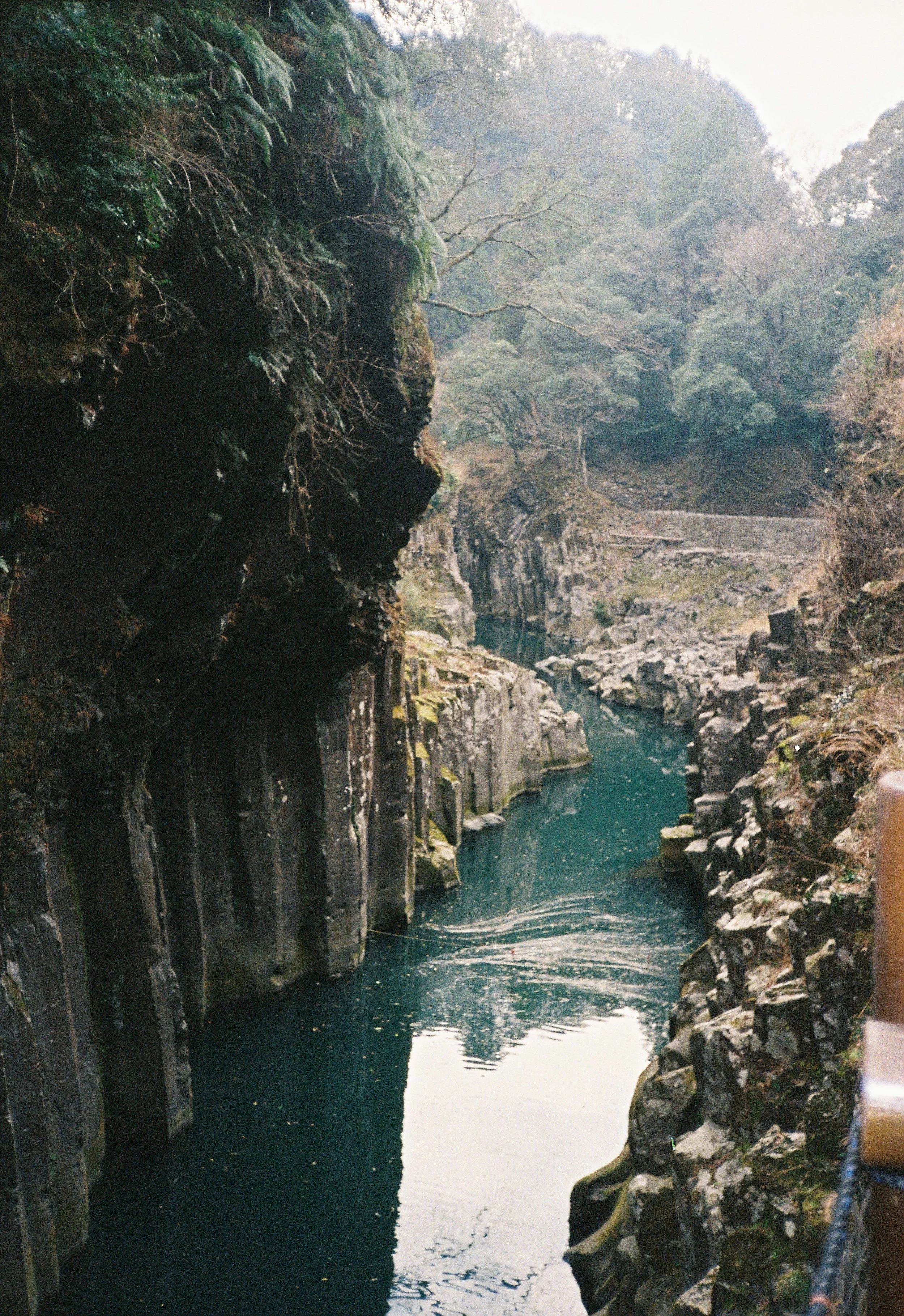 Un río que pasa por un cañón rocoso, rodeado de árboles y vegetación, con un puente visible en la distancia.