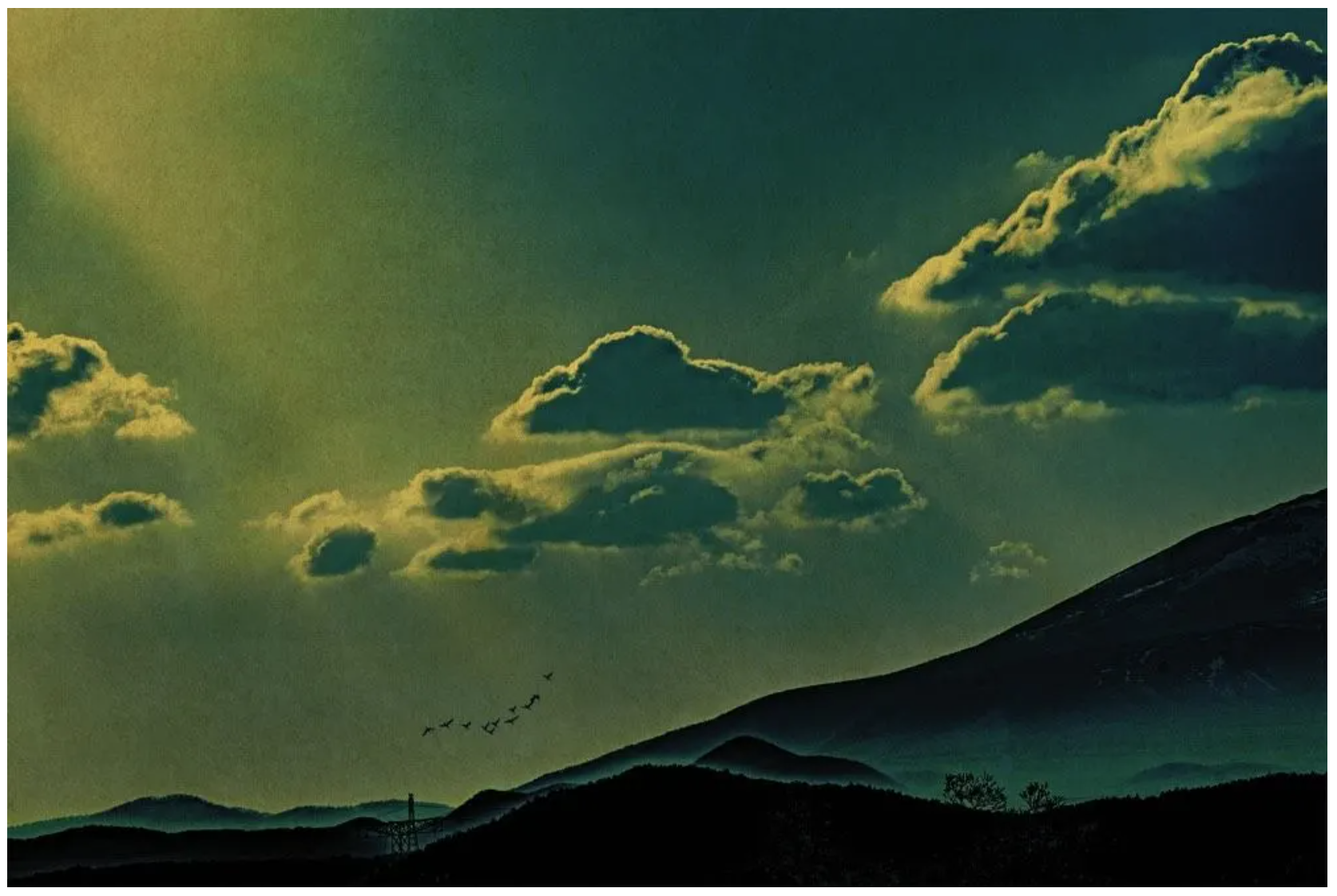 Captura de pantalla 2025-02-18 a las 10.51.20 p. m..png