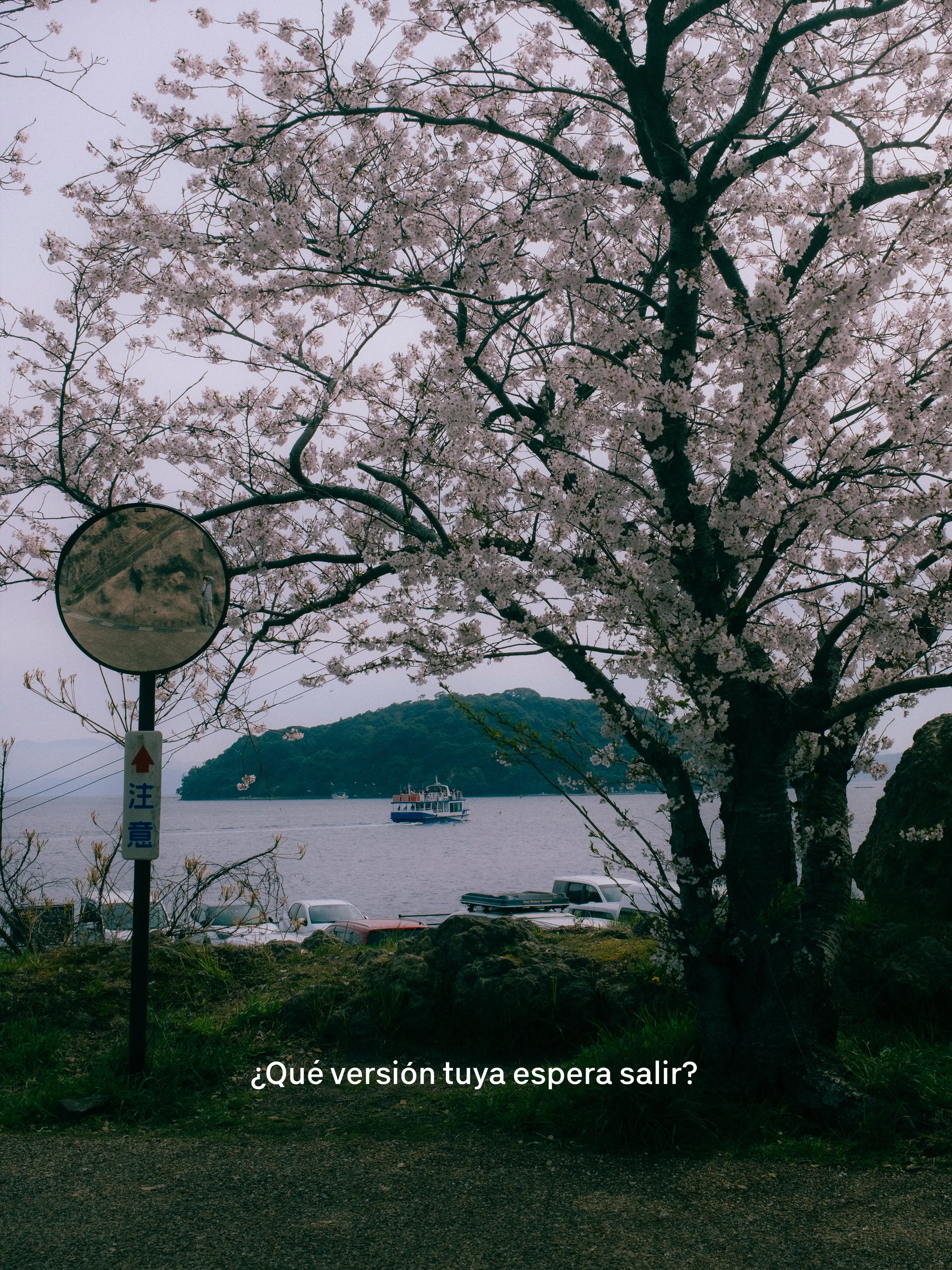 Un árbol de cerezo en flor frente a un cuerpo de agua y un barco en la distancia. Hay un espejo retrovisor y un cartel con caracteres en japonés en primer plano. El cielo está nublado y en el fondo se ven colinas verdes.