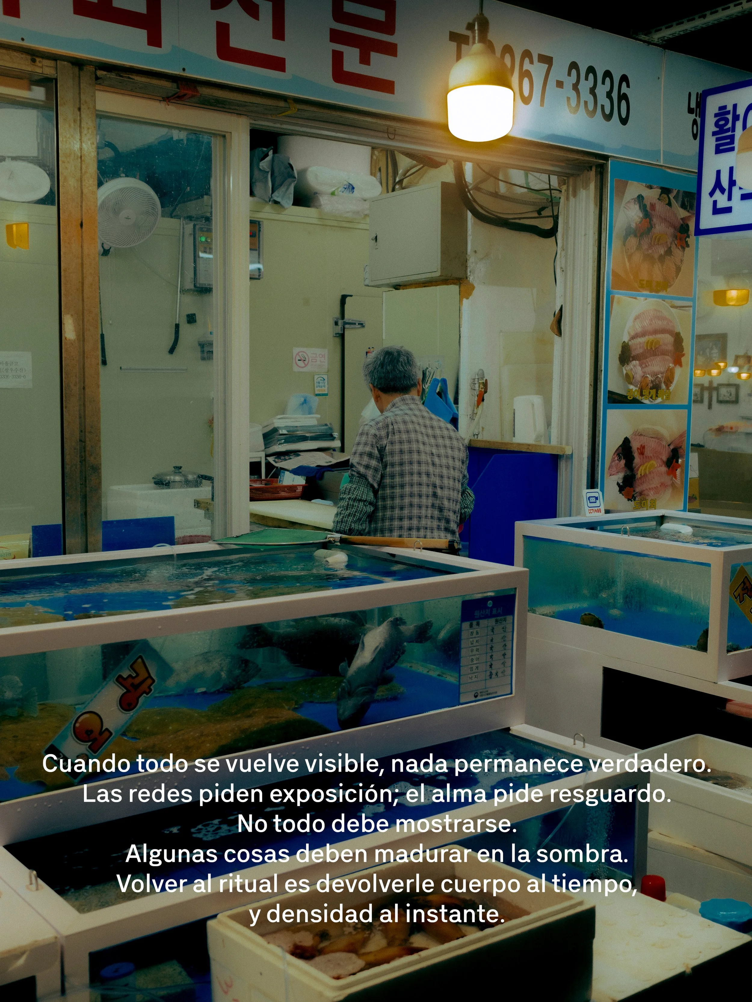 Interior de una tienda de mariscos con acuarios llenos de peces en primer plano y una persona detrás atendiendo, rodeada de cartelones con fotografías de pescados. Hay luces y equipos en las paredes, y un texto en la parte inferior que habla sobre la percepción y la paciencia en el proceso.
