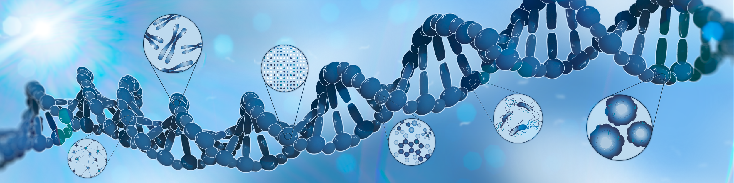 Banner for the Department of Molecular Genetics at the University of Toronto