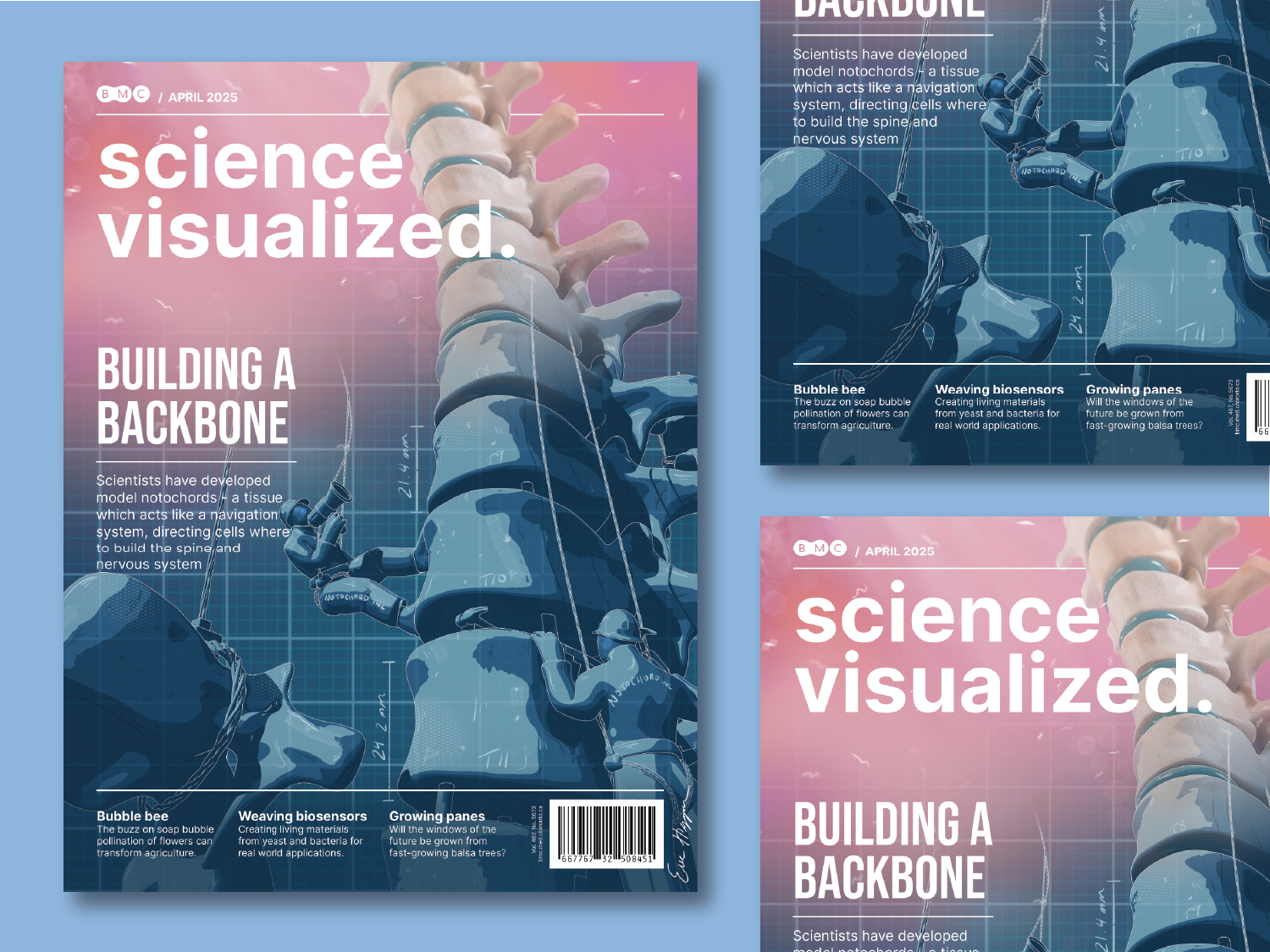 Building a Backbone - a 3D Editorial Cover
