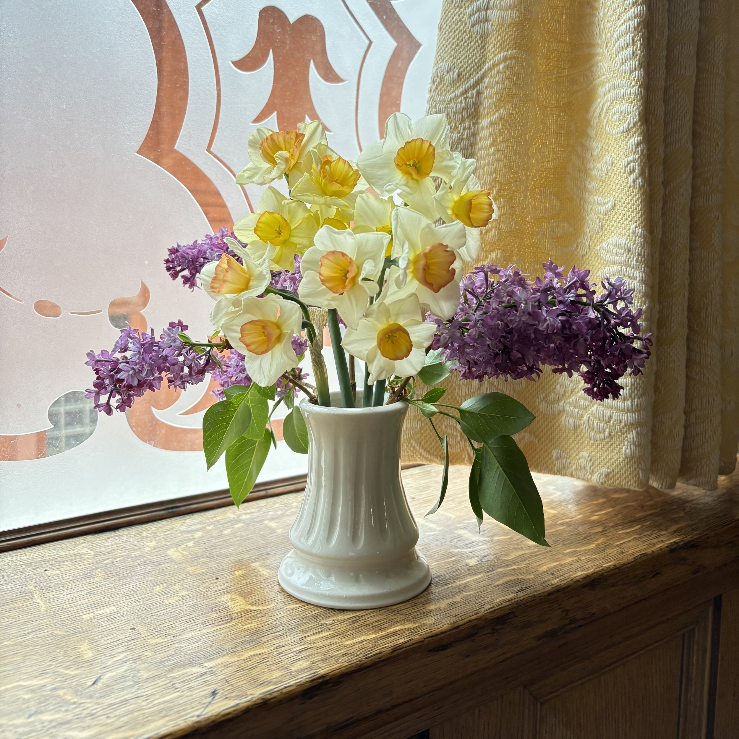 Daffodils.jpg