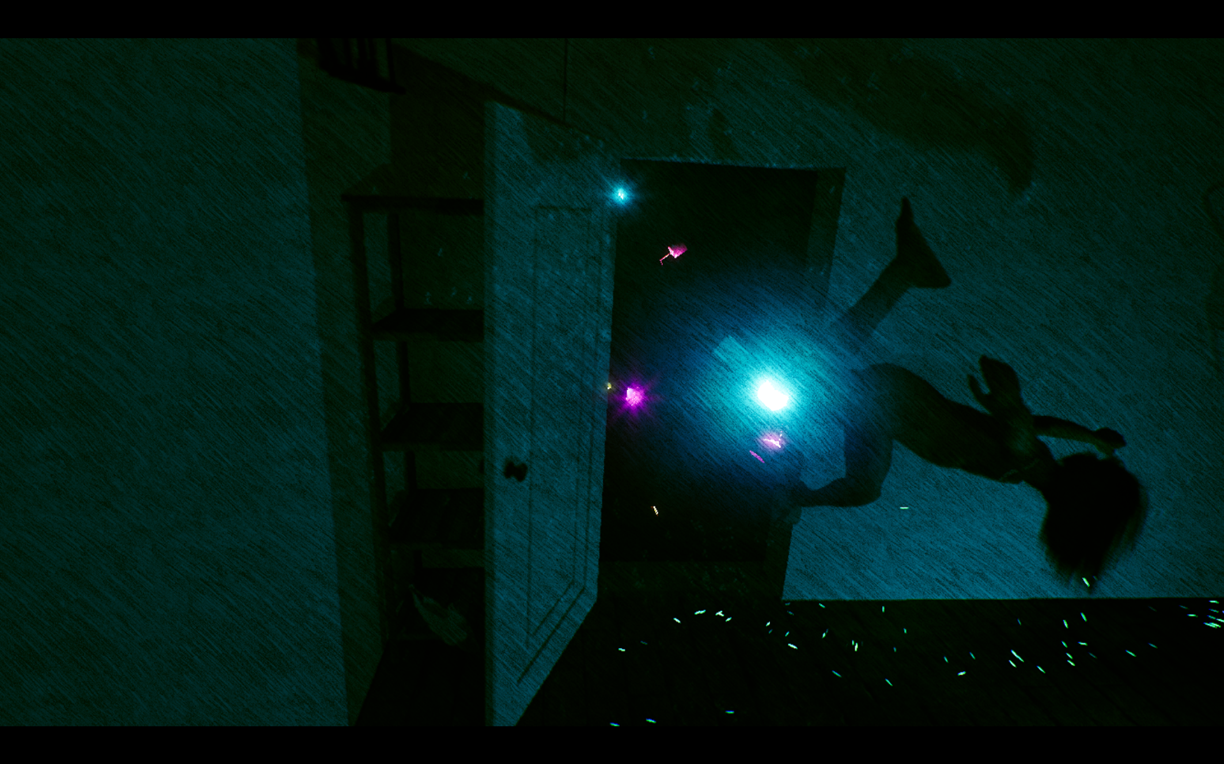 WLITBOS Documentation Photo 3.png