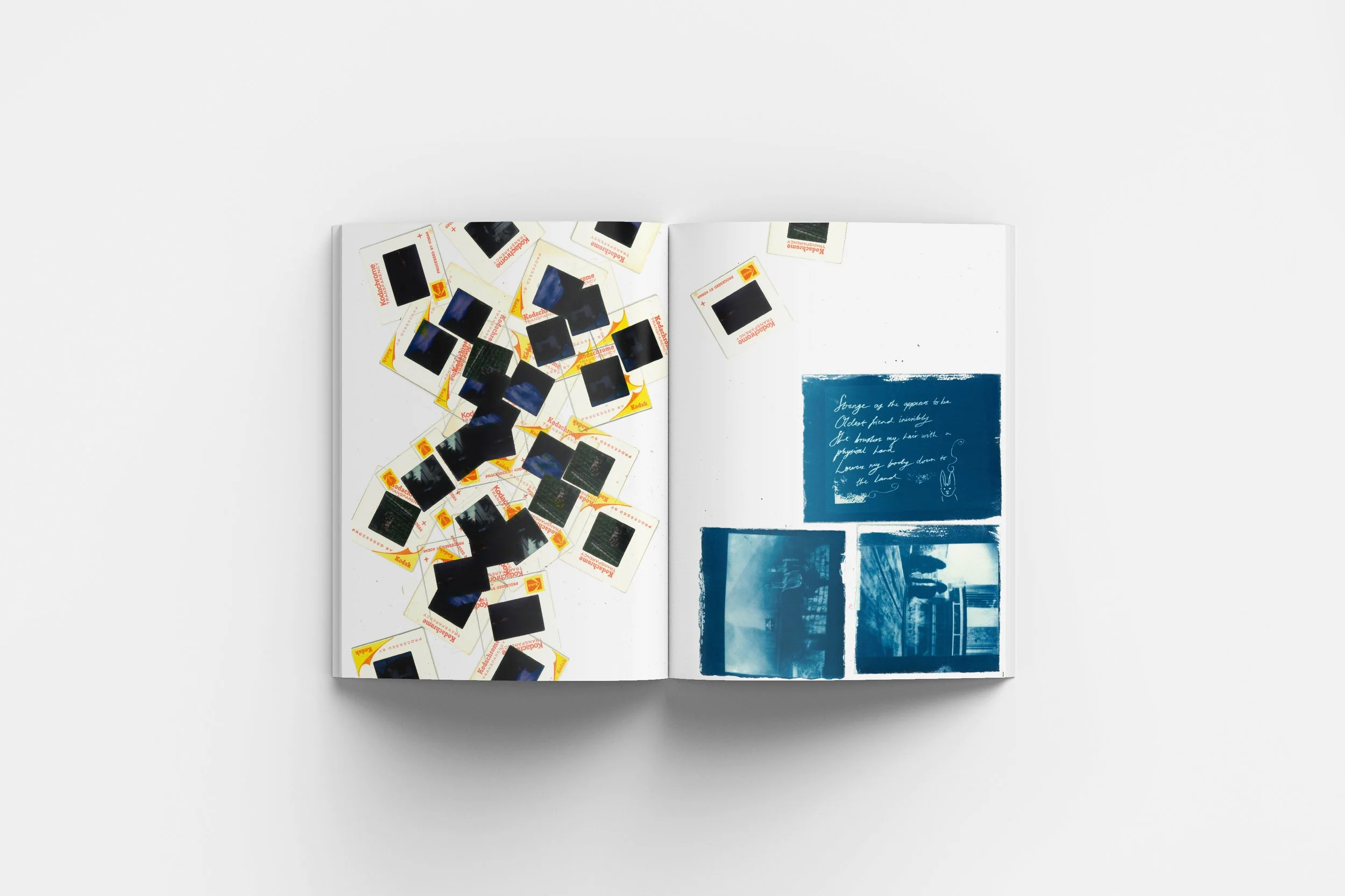 spread mockup 1 copy 2.jpg