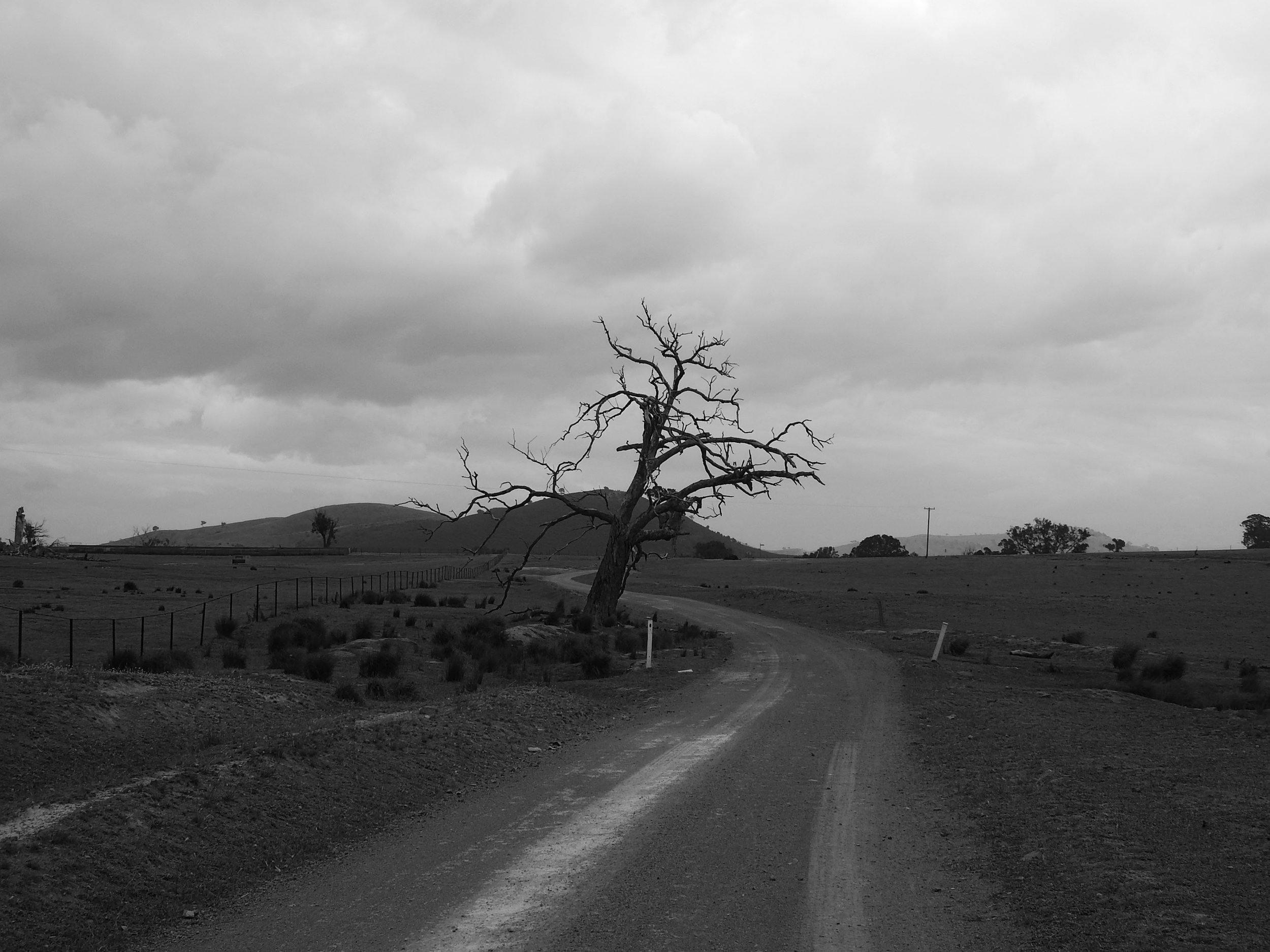 DSCN9957.jpg