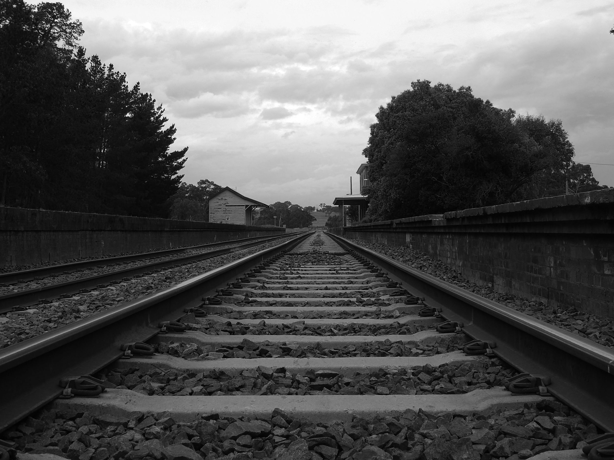 DSCN9978 copy.jpg