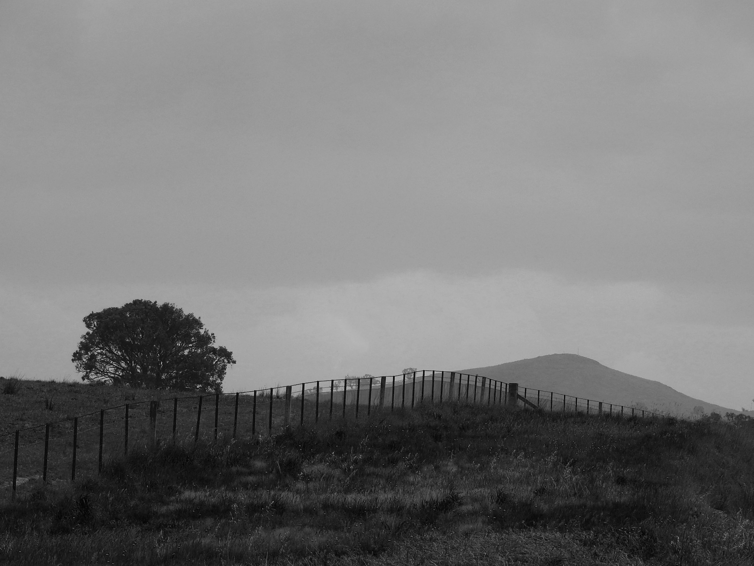 DSCN9918.jpg