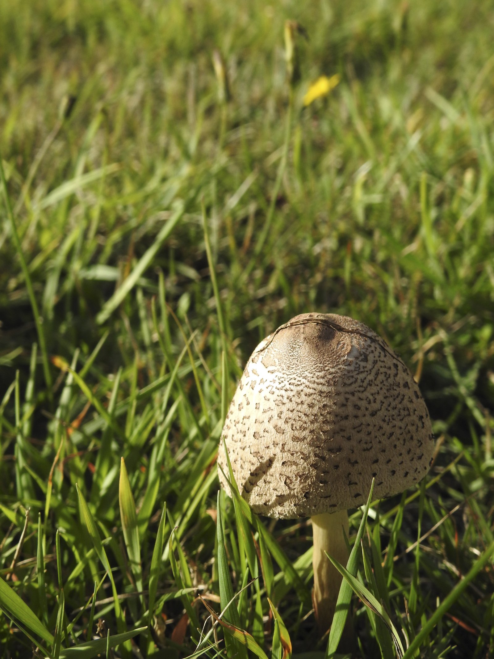 DSCN4821.jpg