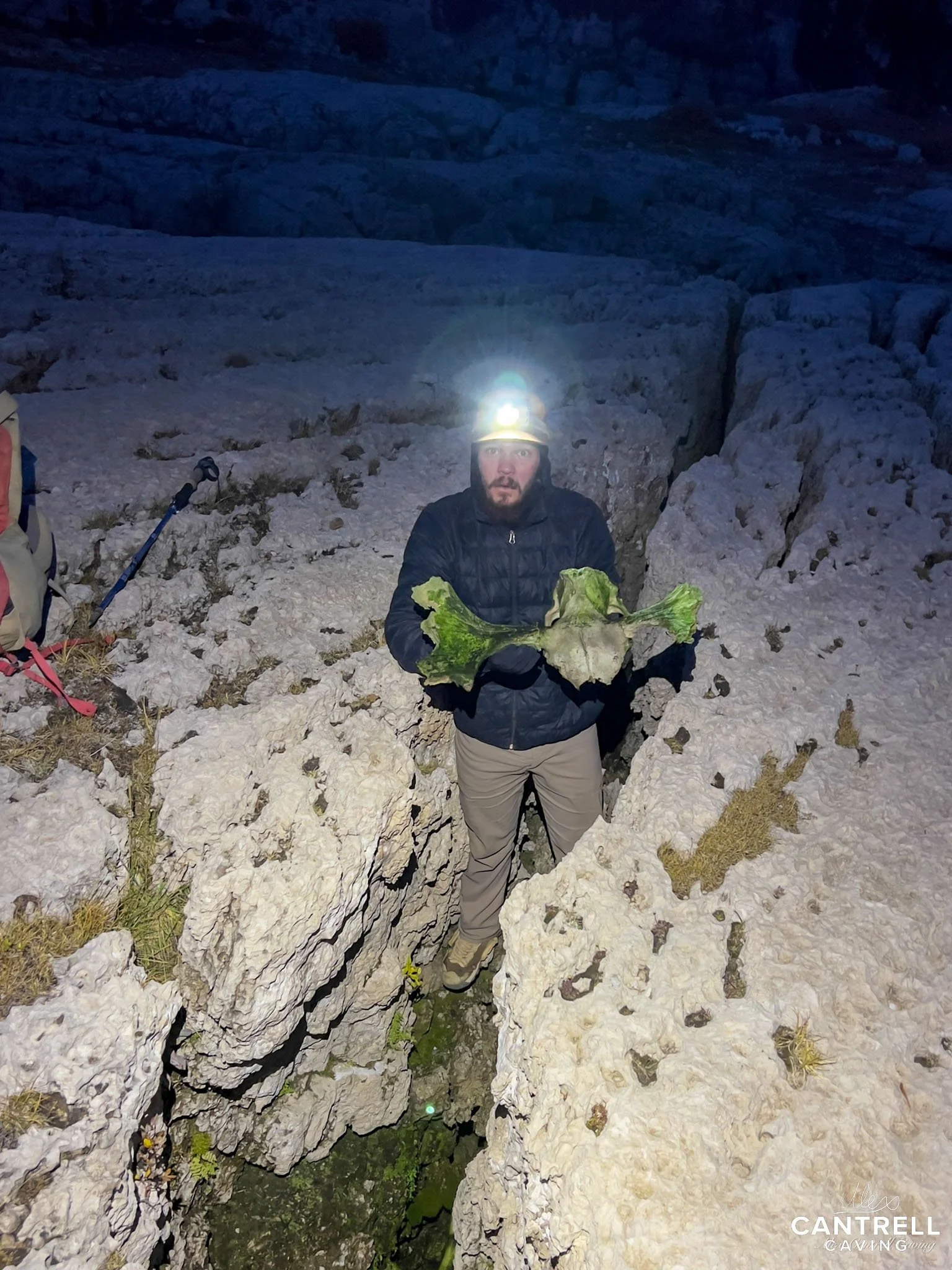 Person wearing headlamp standing in rocky terrain, holding green vegetation, possibly lettuce, with a backpack and hiking pole nearby.