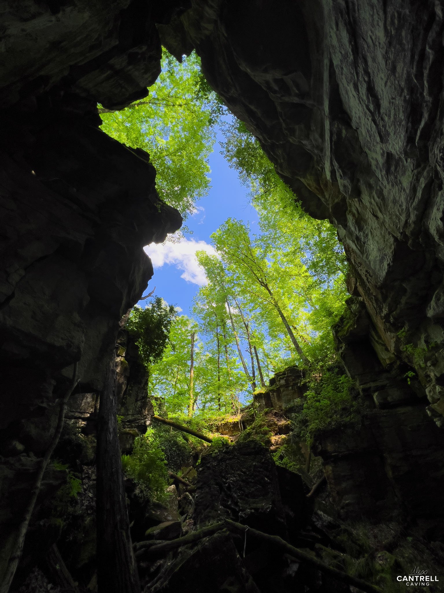 View from inside a cave looking up at green trees and blue sky