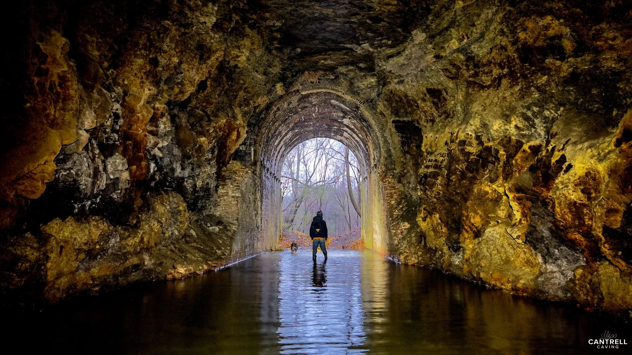 Person walking through a natural cave or tunnel with a dog, surrounded by rocky walls and some standing water on the ground, leading to a forested area.