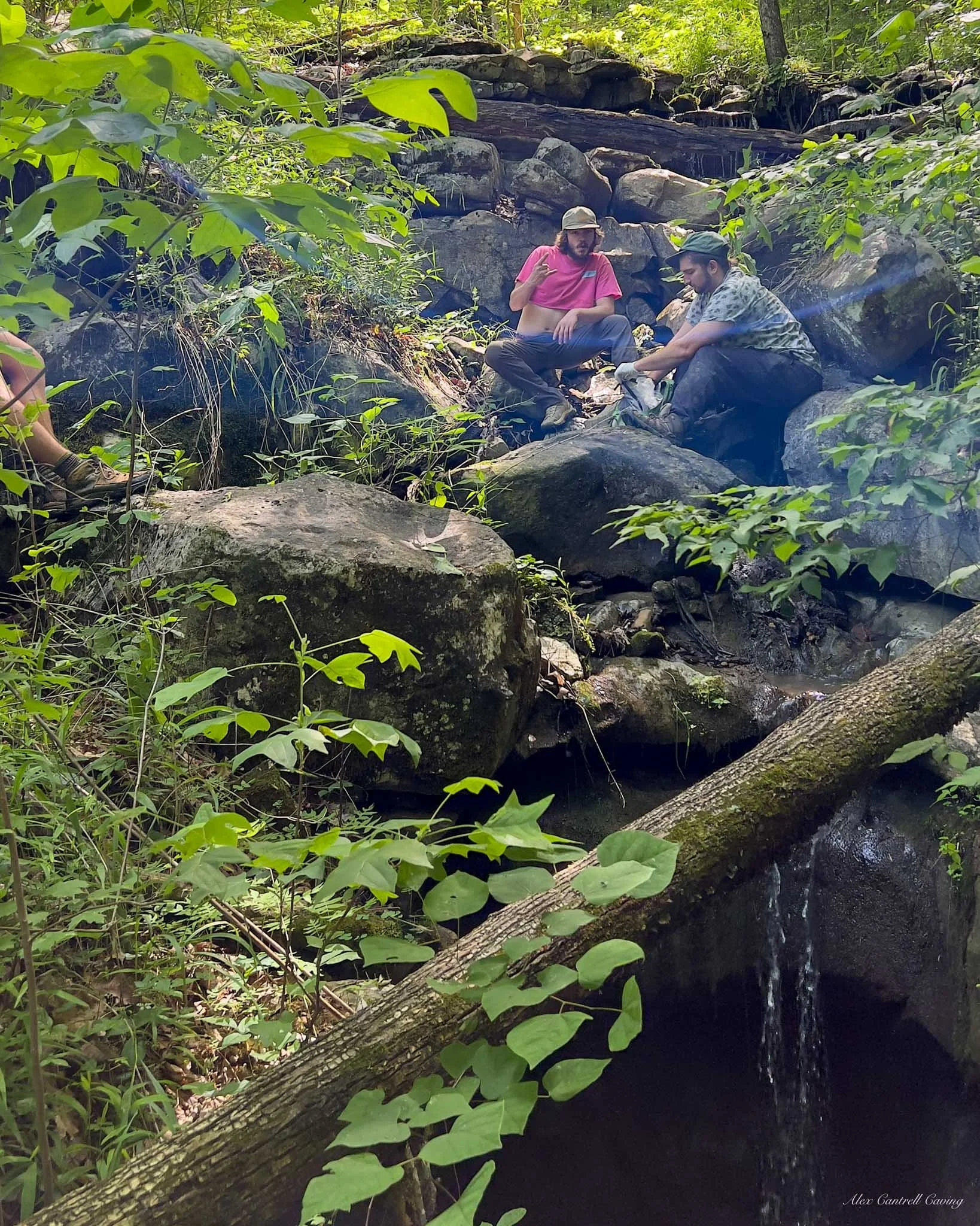 Two people sitting on rocks beside a small stream in a lush, green forest.