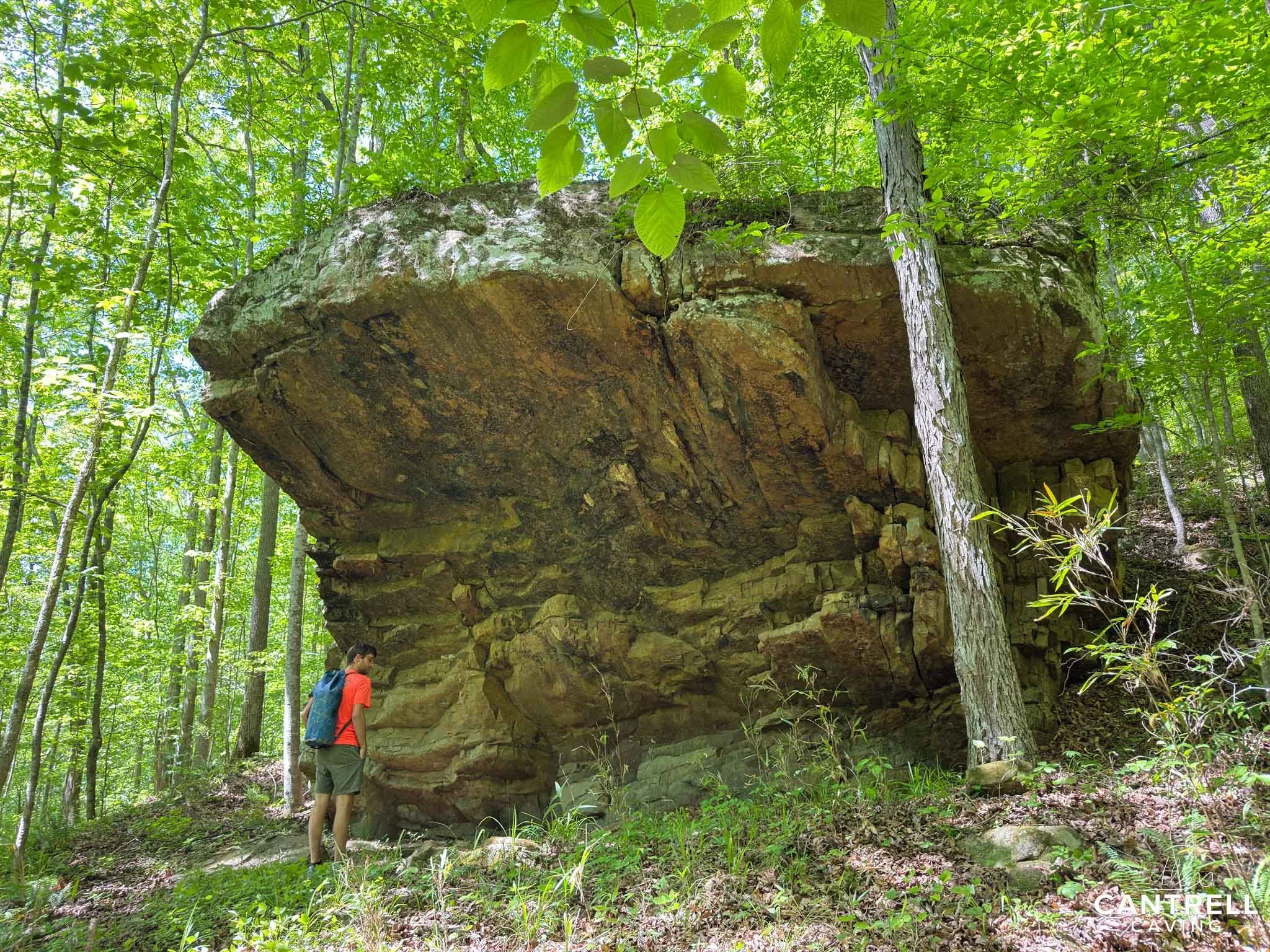 Person hiking near a large rock formation in a lush green forest