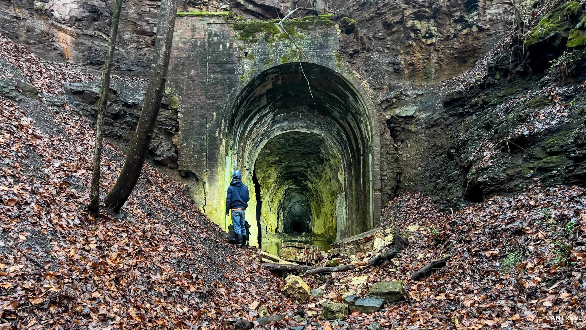 Person standing in front of a wide, arched tunnel entrance in a rocky, wooded area with fallen leaves on the ground.