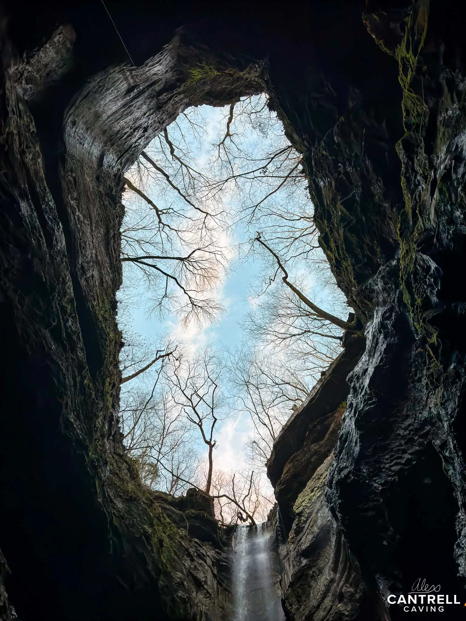 Looking up from inside a cave, silhouette of tree branches against a blue sky.