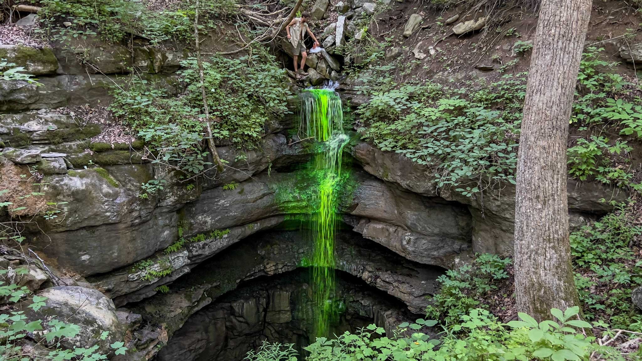 A small waterfall with bright green water flowing over rocks into a cave. Surrounded by lush green foliage and trees in a natural setting.