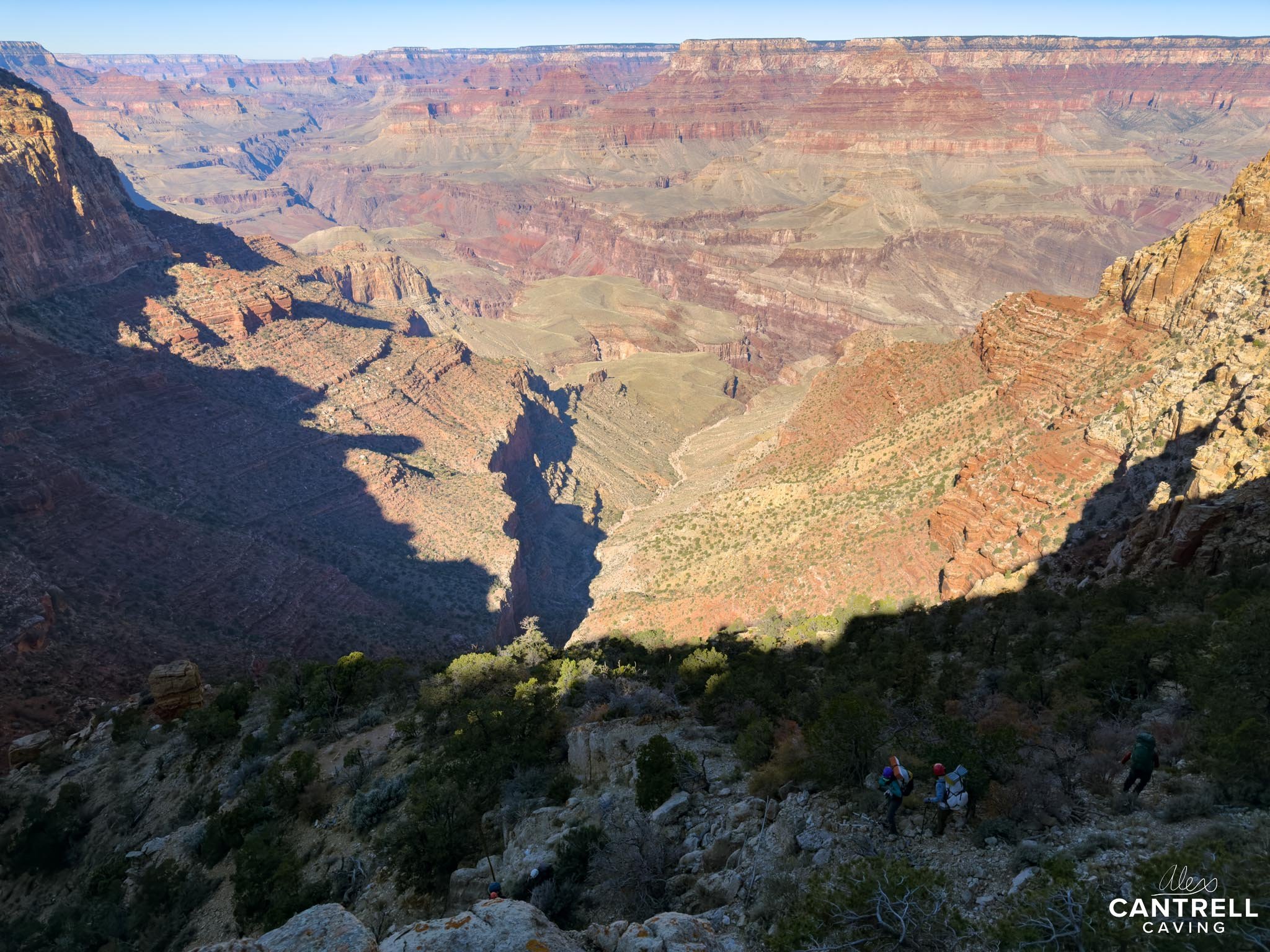20241108-IMG_7324.jpg