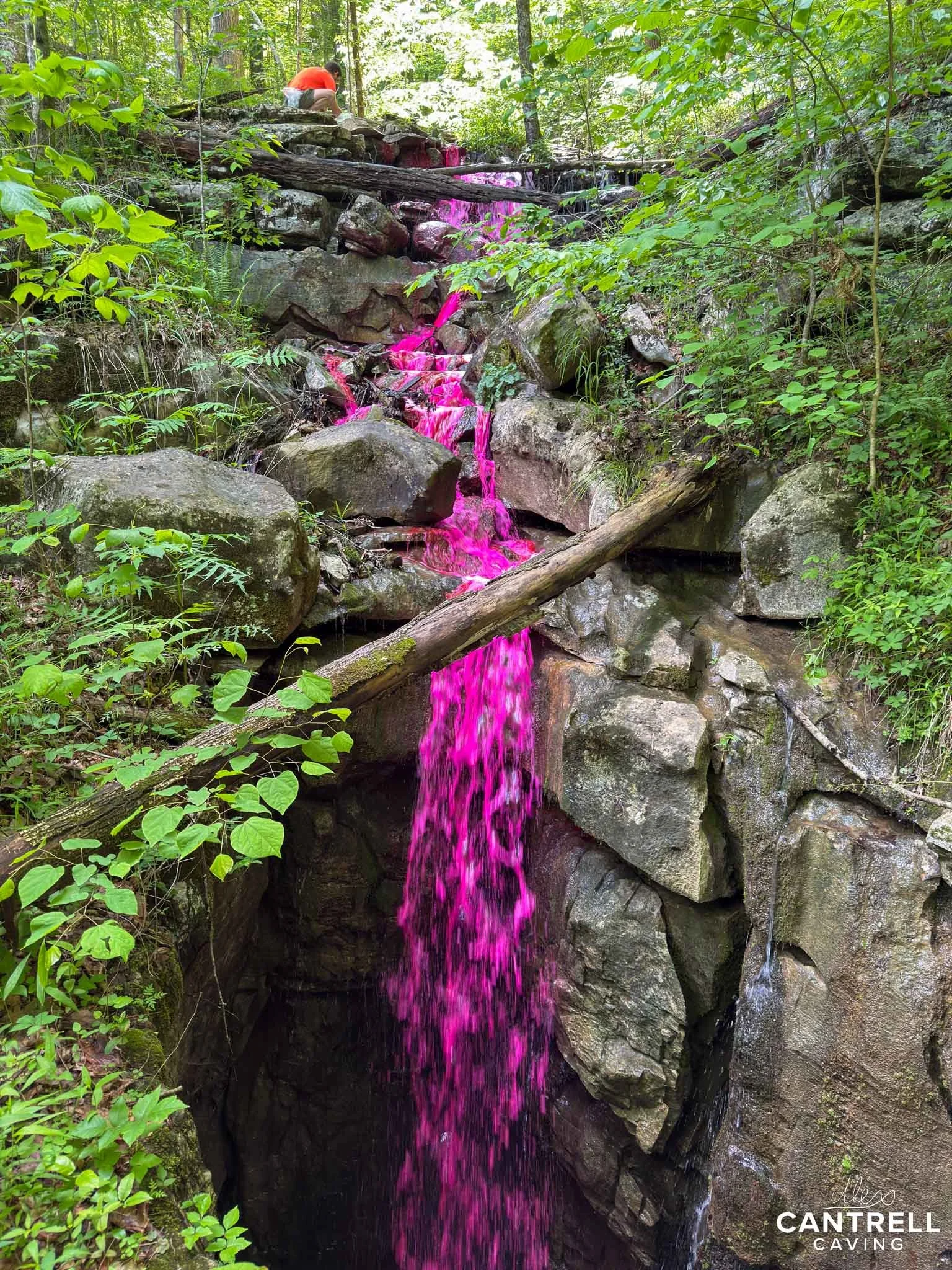 A vibrant pink waterfall cascading over rocks in a forested area, surrounded by lush green foliage, with a person in an orange shirt sitting at the top of the waterfall.