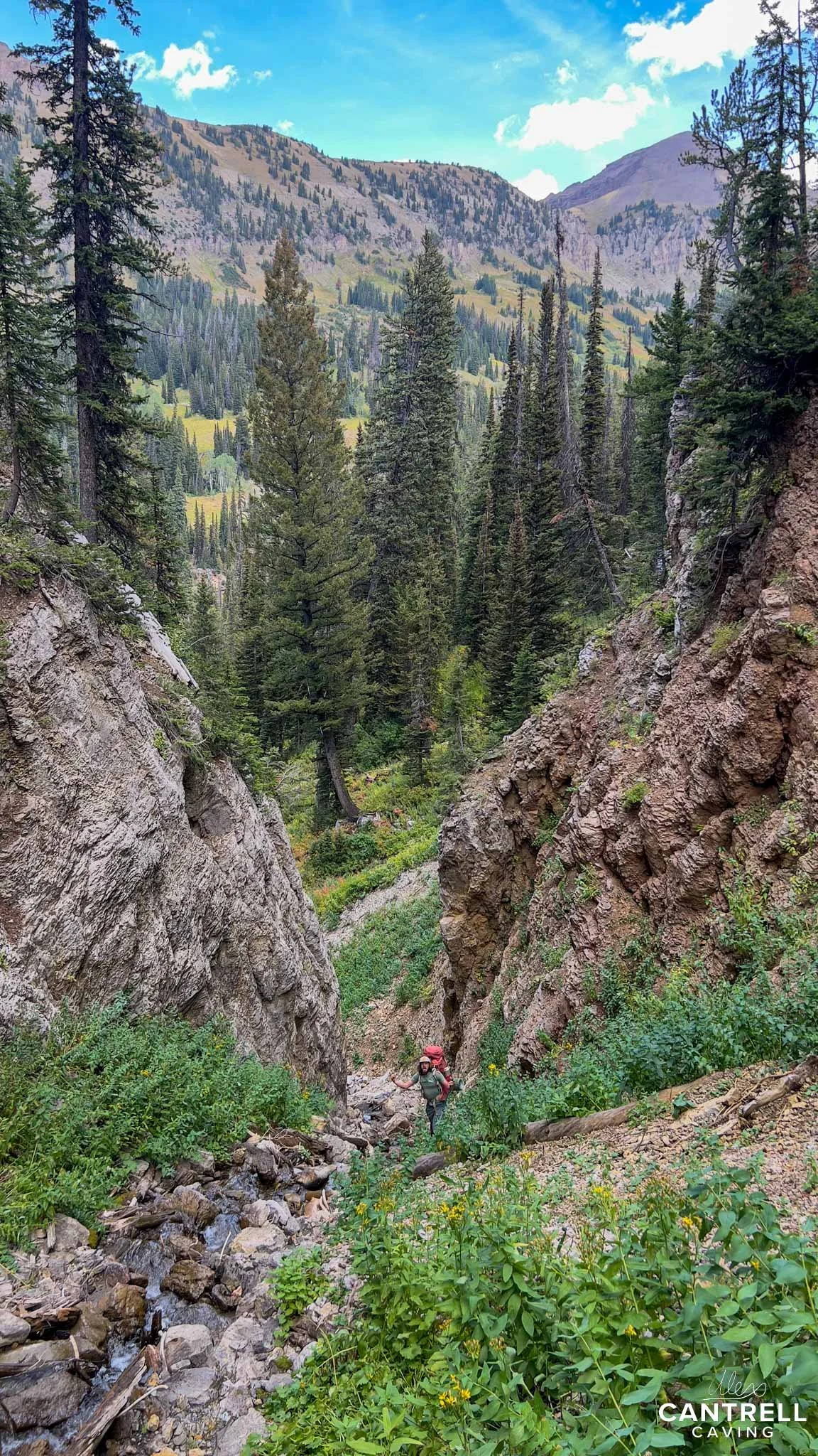 Hiker in rocky mountain landscape with pine trees, small stream, and clear blue sky.