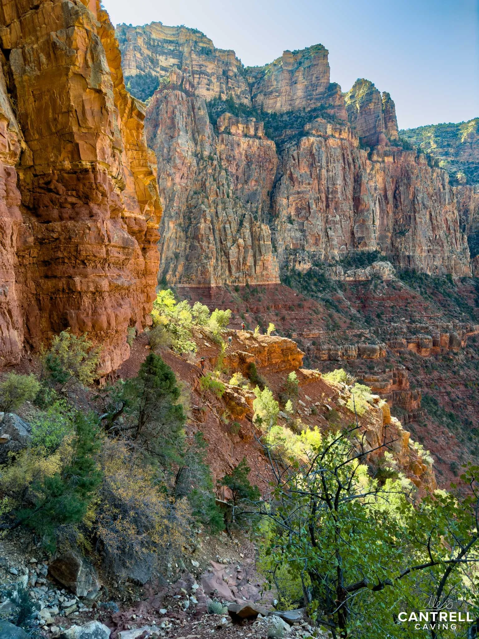 Scenic view of Grand Canyon cliffs with red rock formations and green vegetation, under a clear blue sky.