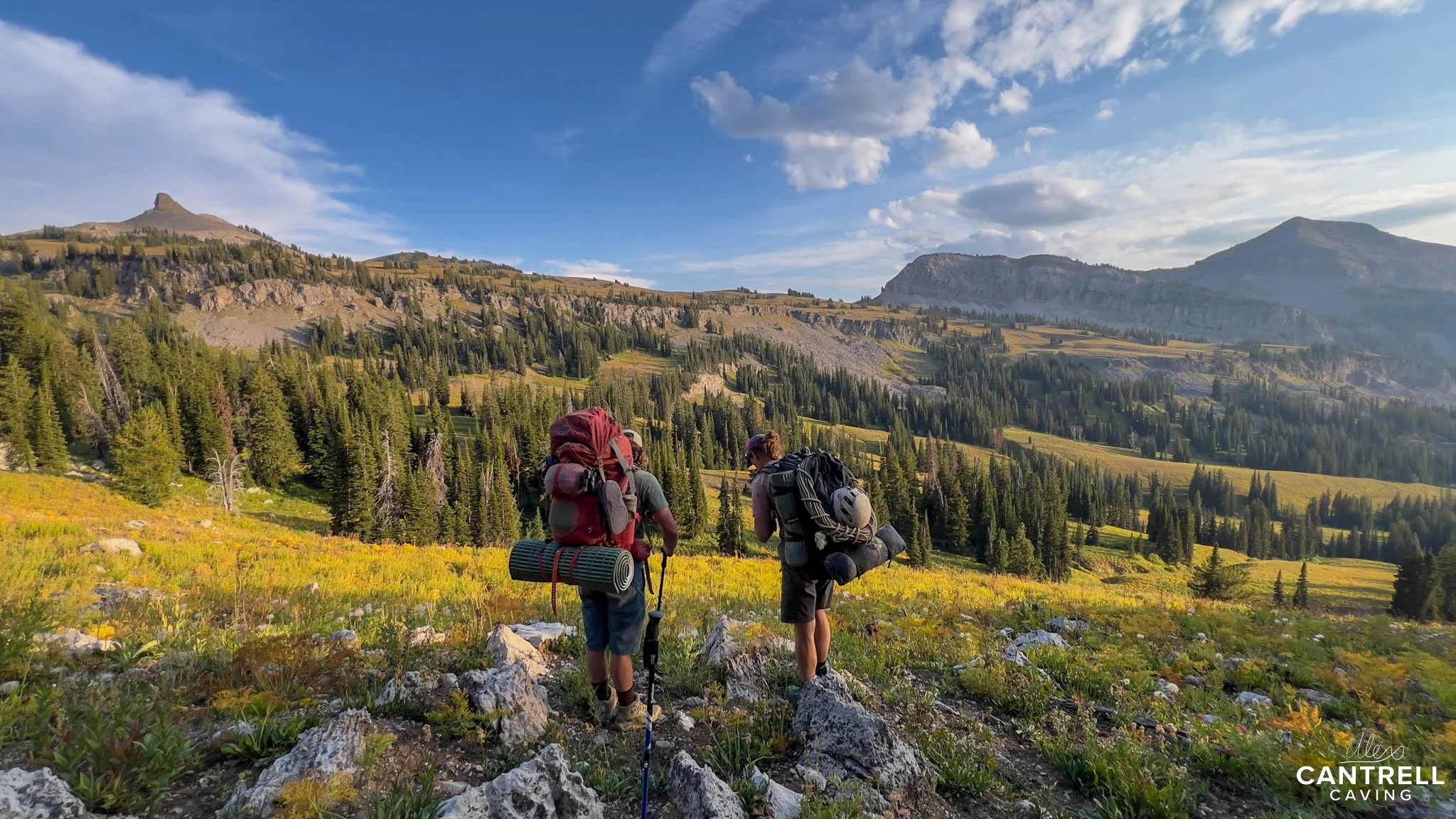 Two hikers with backpacks standing on a rocky mountain landscape with a forest, meadow, and distant peaks under a blue sky with clouds.
