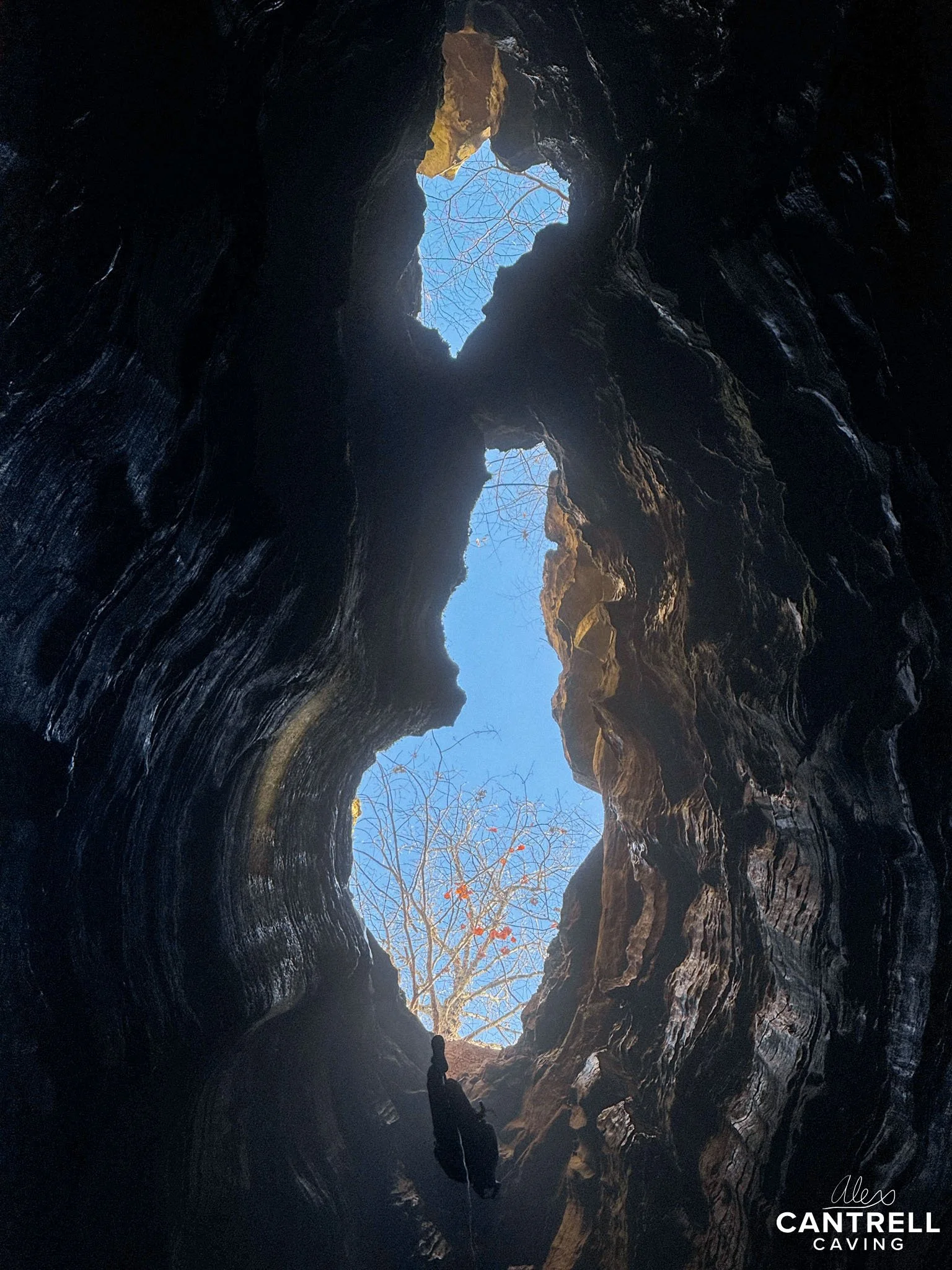 View from inside a cave looking up at the sky through a narrow opening, with a person rappelling down and tree branches visible.