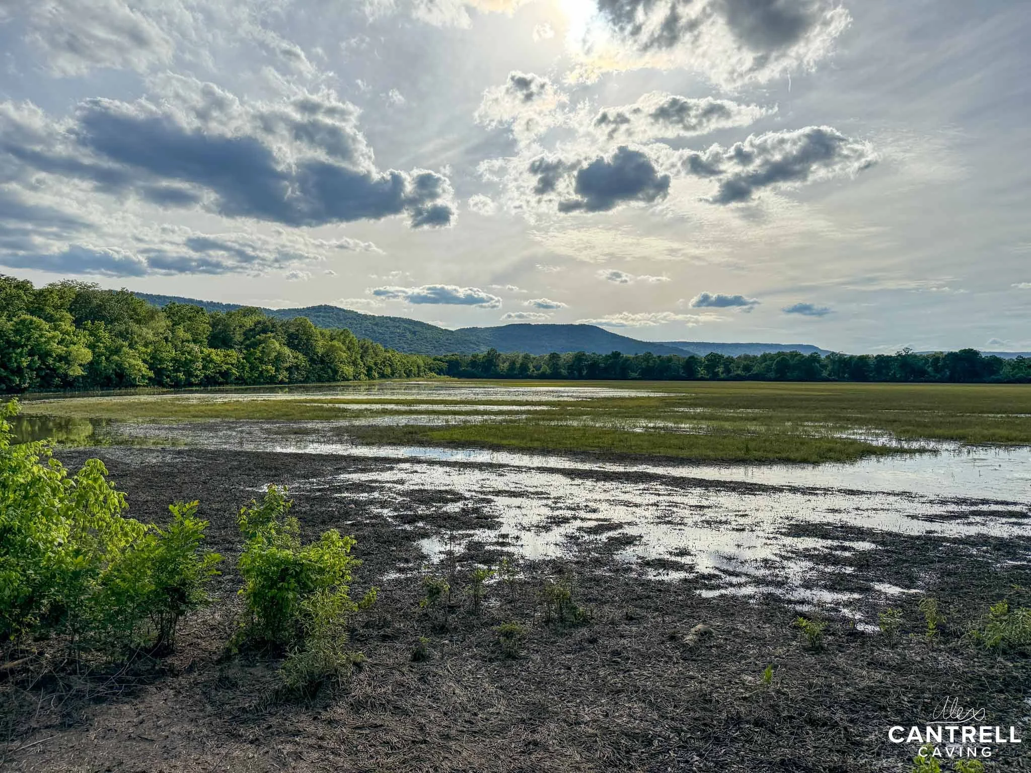 A wide landscape view of a wetland area with sparse vegetation, reflecting sunlight under a partly cloudy sky. The scene is bordered by a line of green trees and distant hills.