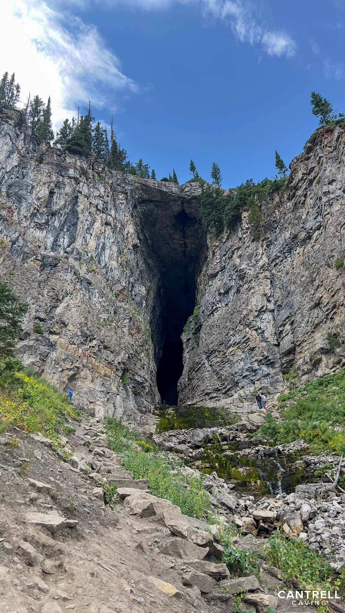 A large cave entrance set in a rocky cliff face, surrounded by trees and greenery, under a clear blue sky.