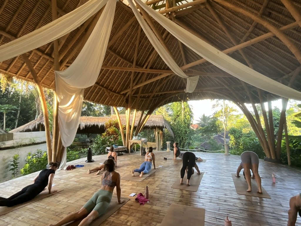 Illustrated breakdown of the benefits of Traditional Hatha Yoga and modern Vinyasa Flow for strength, awareness, and wellbeing