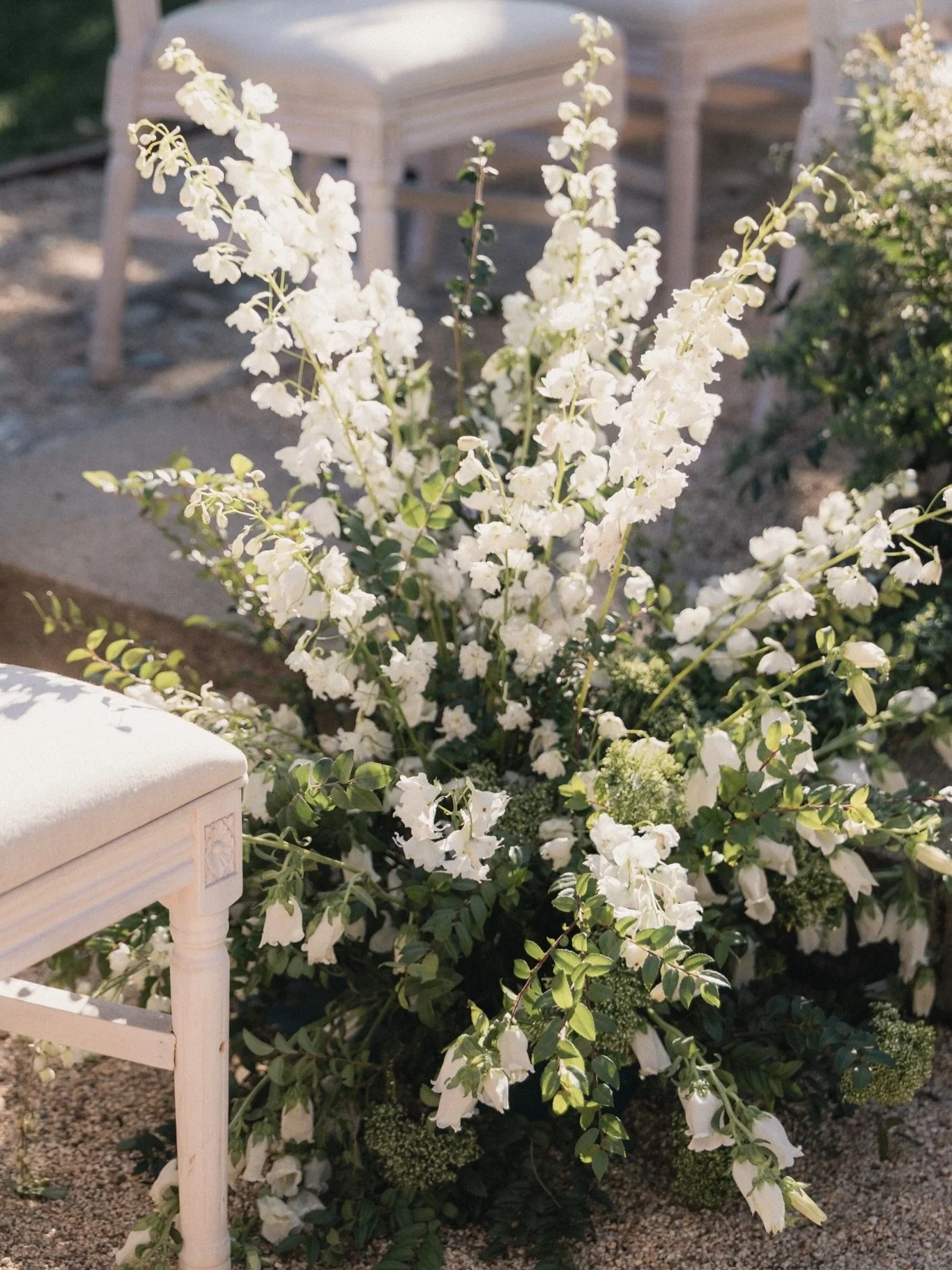 ceremony details from this gorgeous day 
.
.

| Planner &amp; Design @Sierrajamesevents
| Photography @clairekeehleyphotography 
| Hosts: @Sierrajamesevents, @Ariele_photograpjy, @Sierradawnphoto
| Venue: @Stonepineestate
| Florals: @Thistleoakfloral