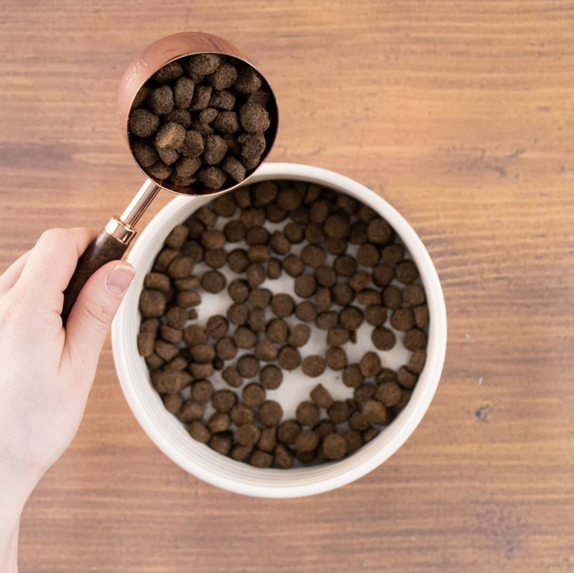 Screenshot 2025-02-07 at 3.29.09 PM.png