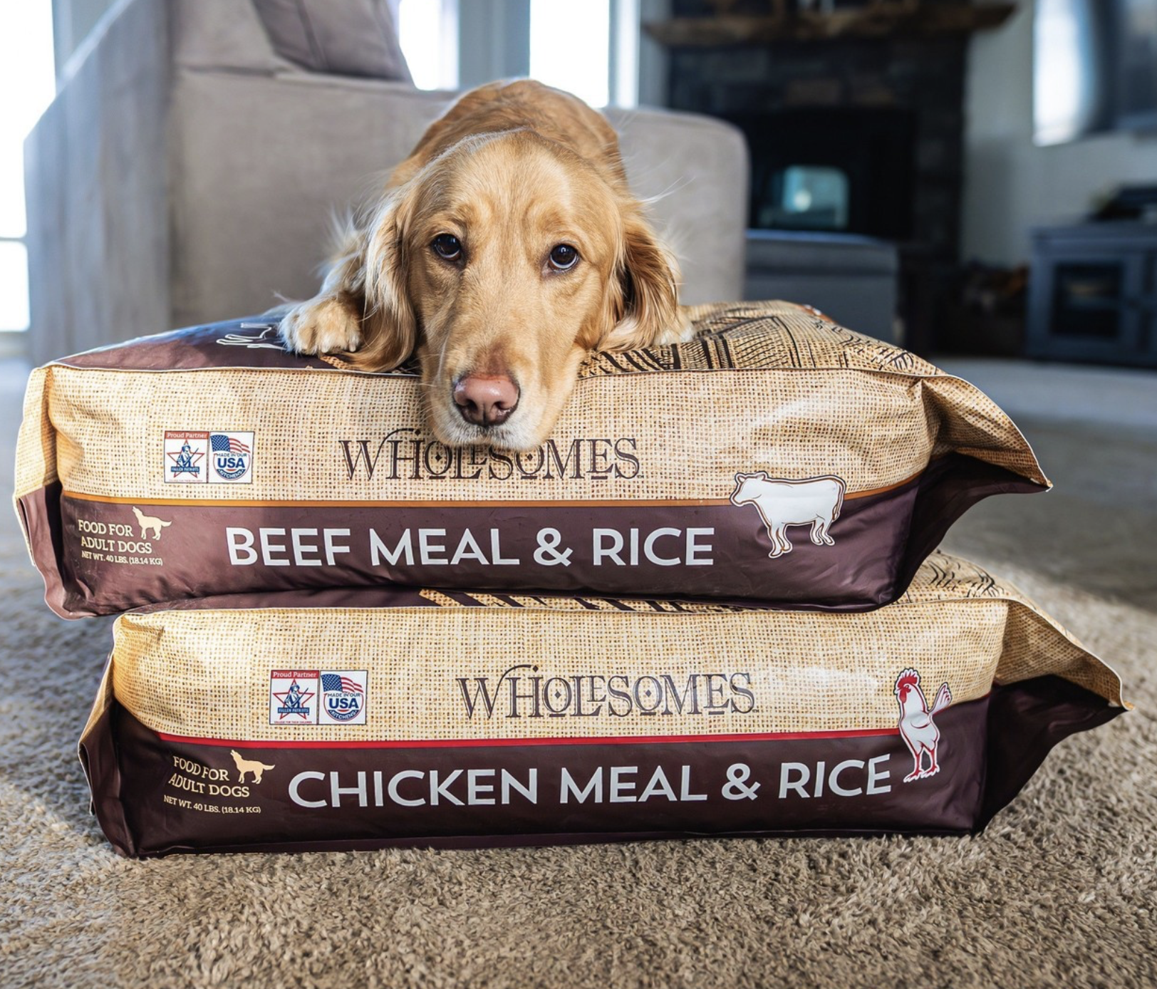 Screenshot 2025-02-07 at 3.28.40 PM.png