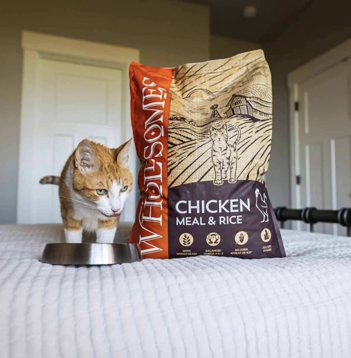 Screenshot 2025-02-07 at 3.28.24 PM.png