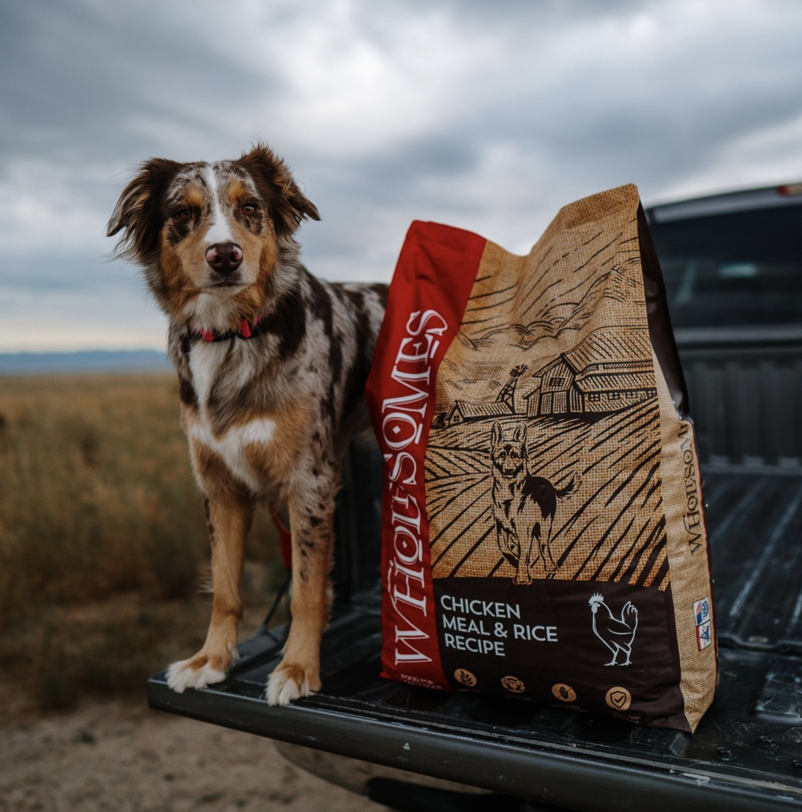 Screenshot 2025-02-07 at 3.30.28 PM.png