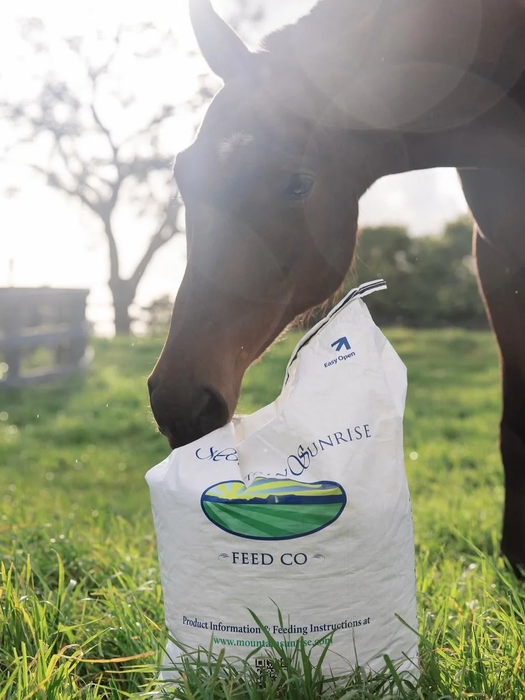 Quality feed makes all the difference. 🐓🐄🐐🐴
From strong starts to healthy growth, giving your animals the right nutrition means better results all around. Stop by and stock up on feed you can trust!

#feedsale #qualityfeed #kingfeed #mountainsunr