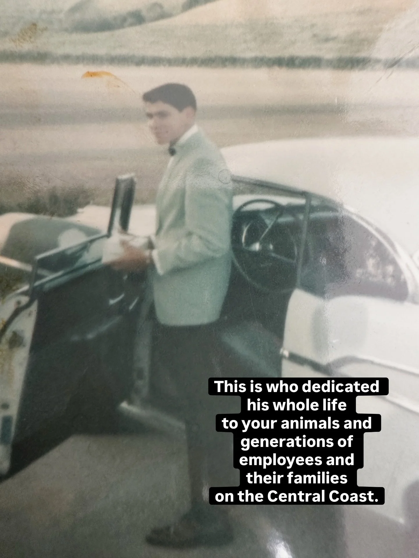 This is who trend&hellip; how&rsquo;d we do?
#mypetsayslemos #thisiswhotrend #lemospet805 #workfun #mikelemos