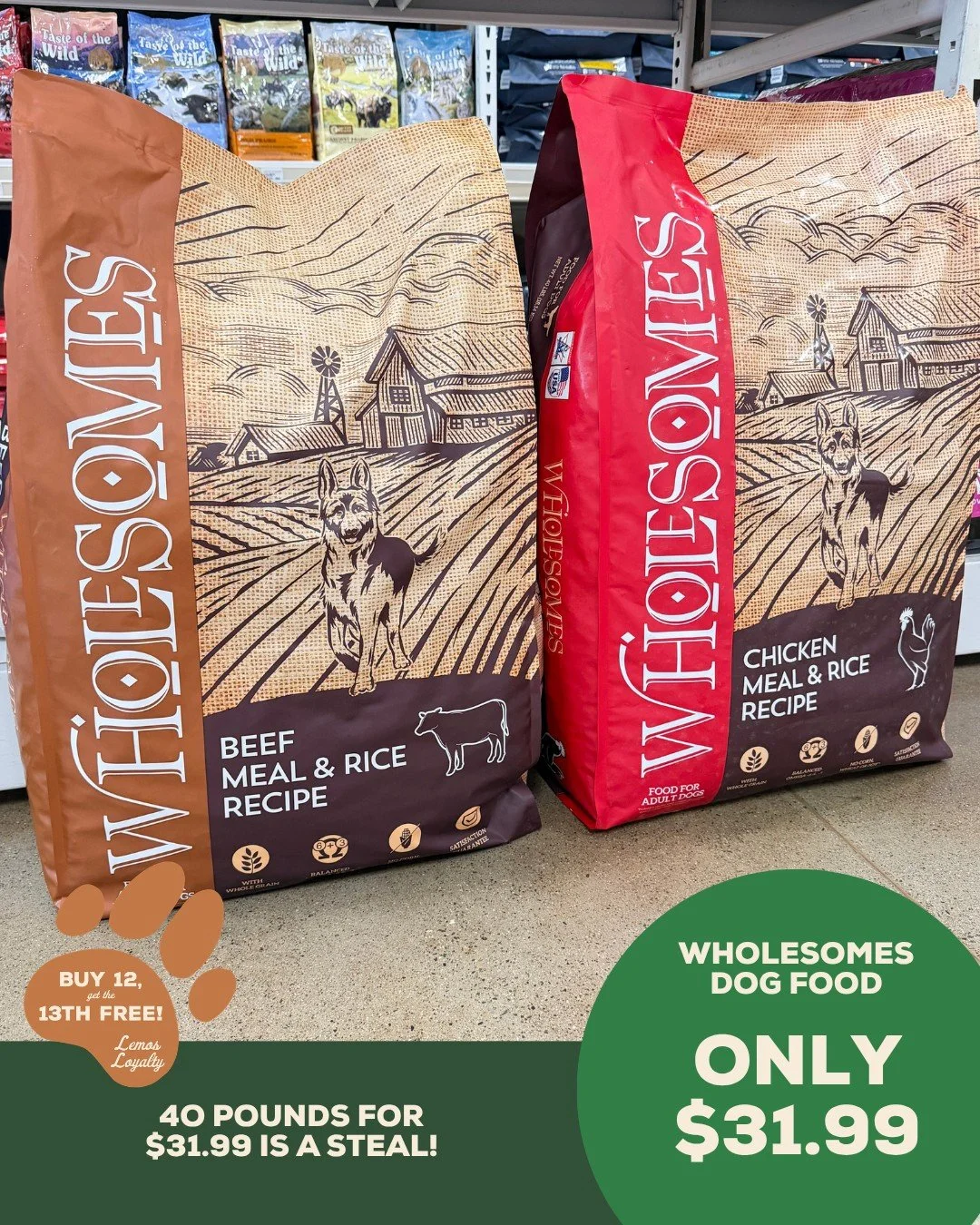 Shopping local doesn't mean expensive! 👏🐾 Shop these must-grab deals from our 54th Anniversary Sale!! These prices are just too good to miss out on.

*See full catalog in bio for all details.

#mypetsayslemos #shoplocal #centralcoast #anniversarysa