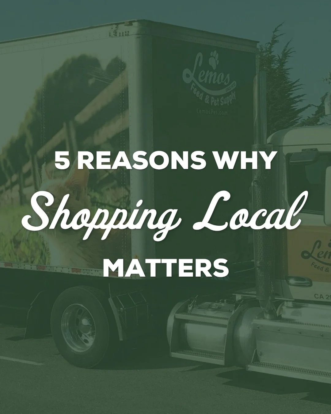 Why shopping local matters (and why your community feels it when you do) 💛 Tag your favorite Central Coast small businesses to spread the love!

#locallove #smallbusiness #centralcoast #shoplocal #mypetsayslemos