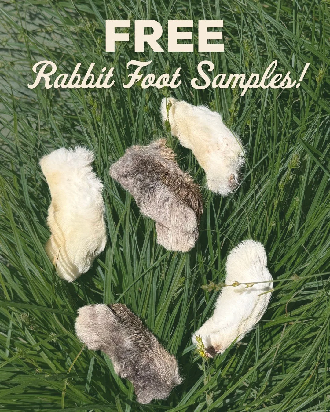 FREE SAMPLE ALERT 🐾 Curious about rabbit feet for your pets? Come in &amp; ask for a FREE sample of the new Great Lakes Rabbit Foot for dogs or cats!

They&rsquo;re full of benefits &amp; pets love them:
✔️ Supports dental health by helping clean te