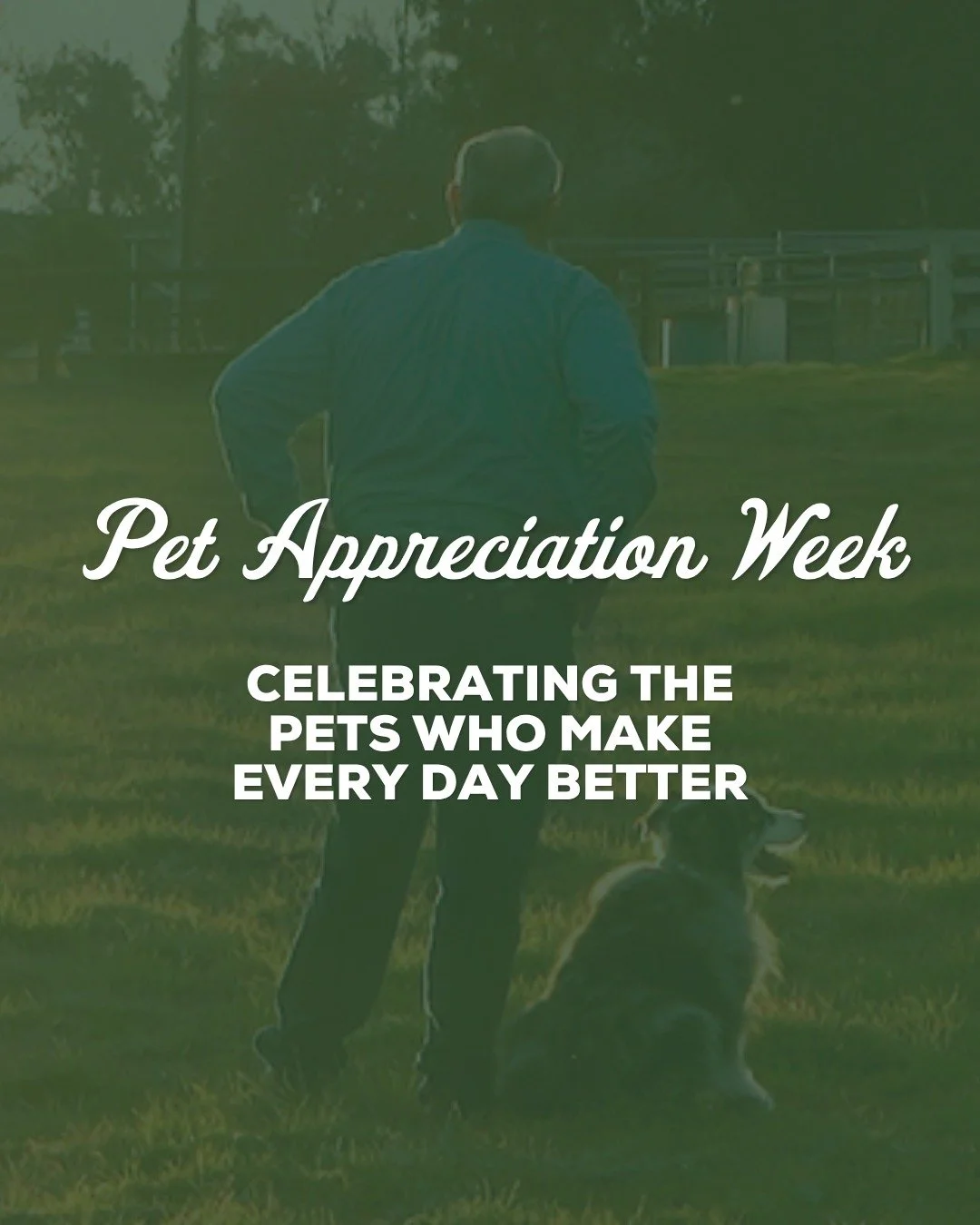Happy Pet Appreciation Week! 🐾 This week is all about celebrating the pets that make our lives brighter, happier, &amp; a little more fun every day. Tell us your pet's name in the comments and your favorite thing about them ~ we'd love to see the fu
