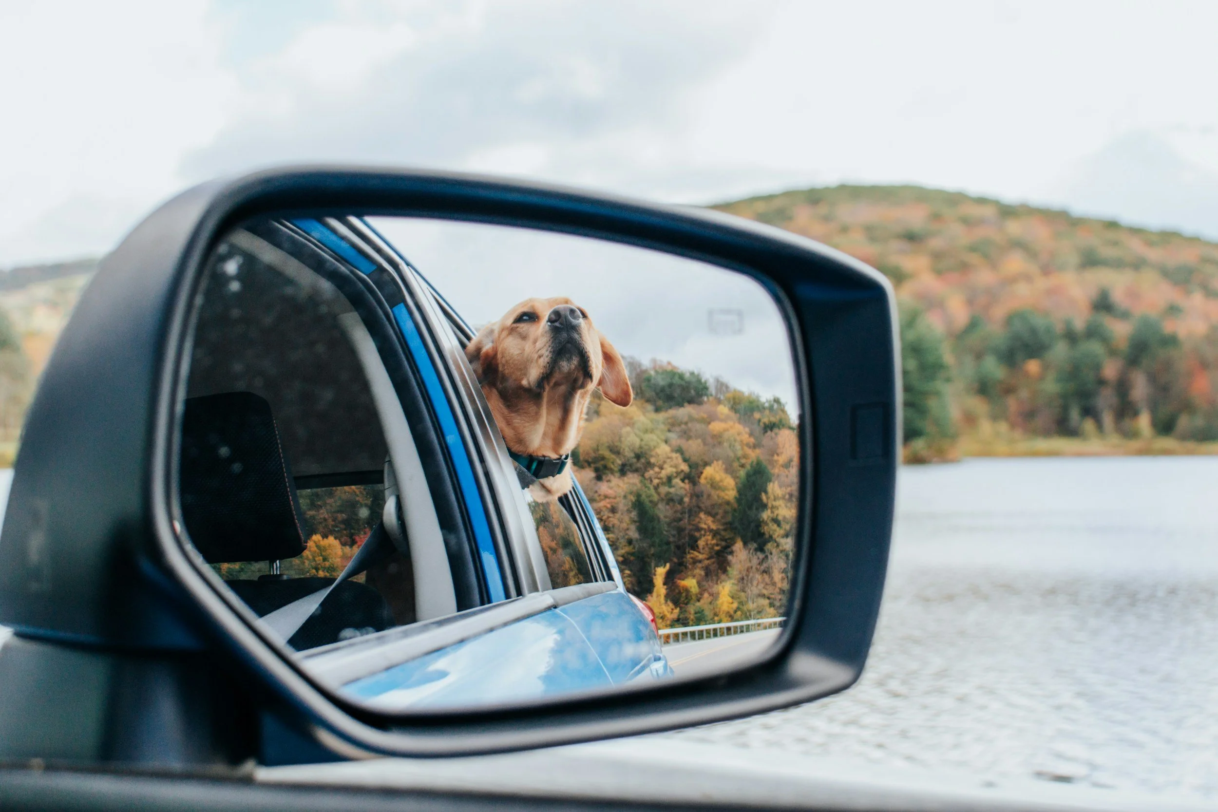 Summer Road Trip Checklist