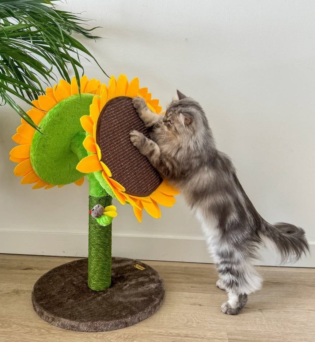 More climbing. More scratching. More napping. More happy cats. 🐱 All cat furniture is 20% off! ~ including this @petpalcgroupinc Double Bloom Sunflower Cat Scratching Post! Stop by &amp; find something your cat will love! 🐾

#catfurniture #catlover
