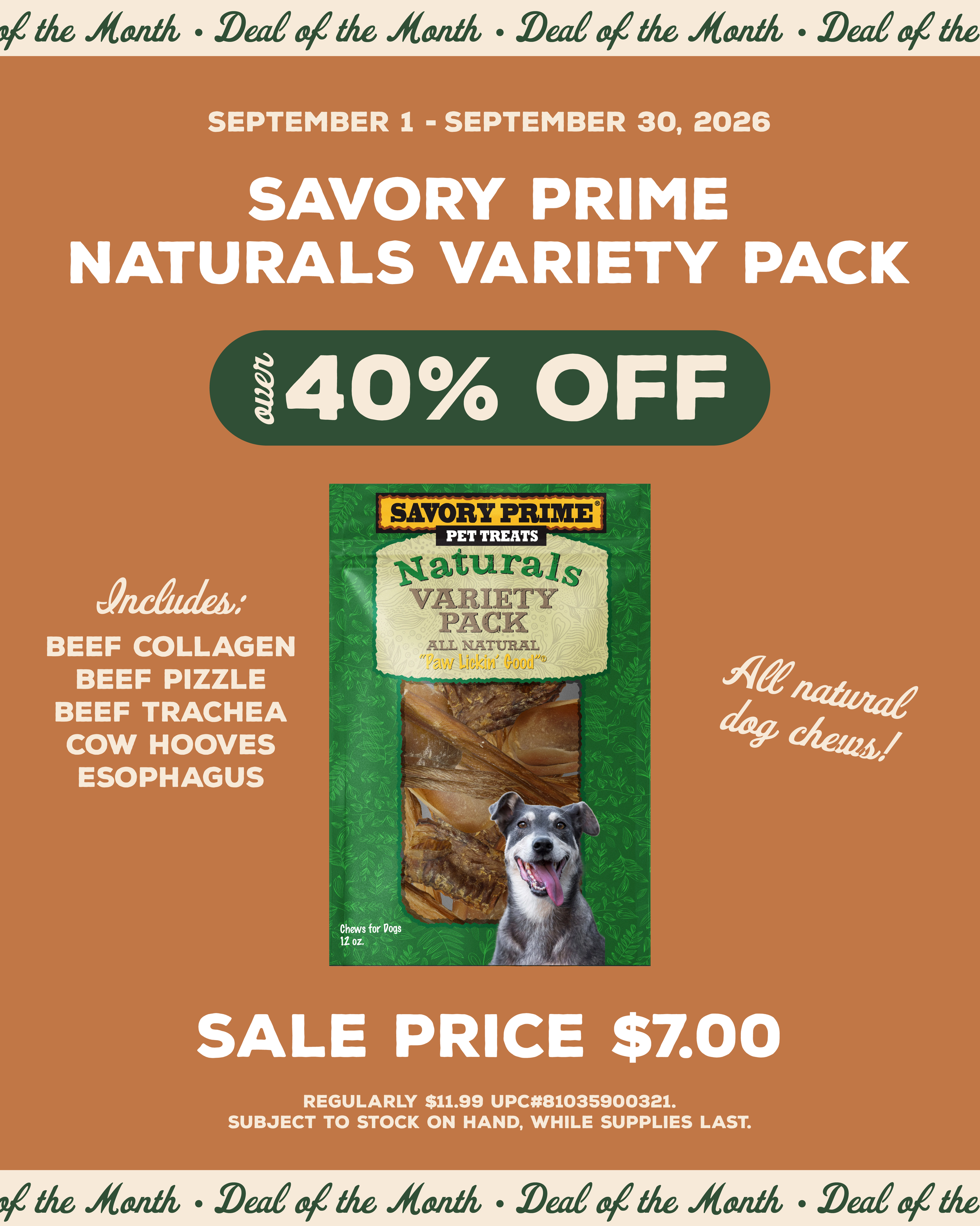 Deal of the Month 3 - September