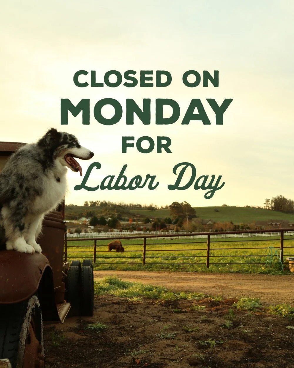 Reminder, we&rsquo;ll be closed on Monday, September 7th, so our team can enjoy the holiday! 🇺🇸✨